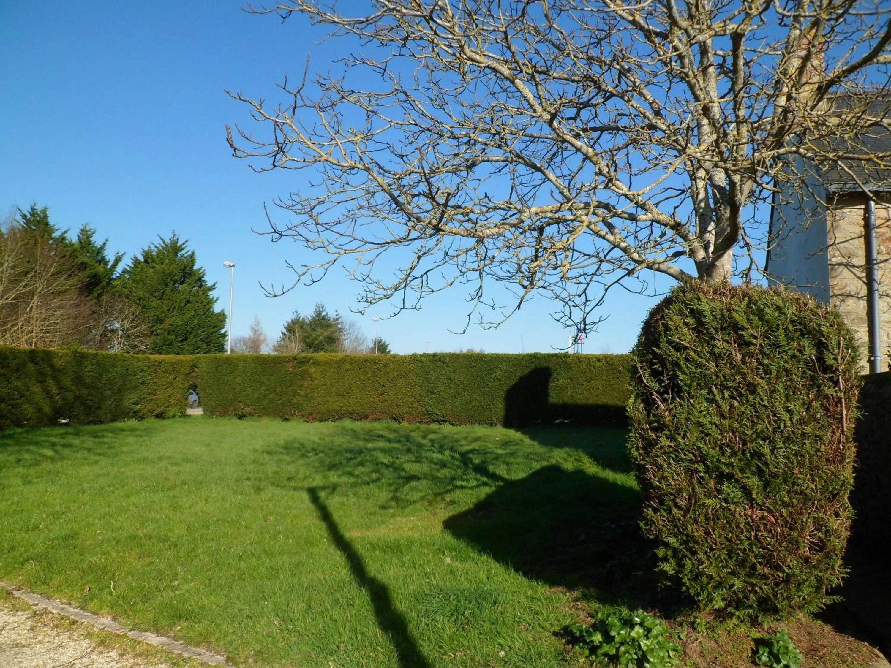 Garden in Farmhouse in an amazing private park