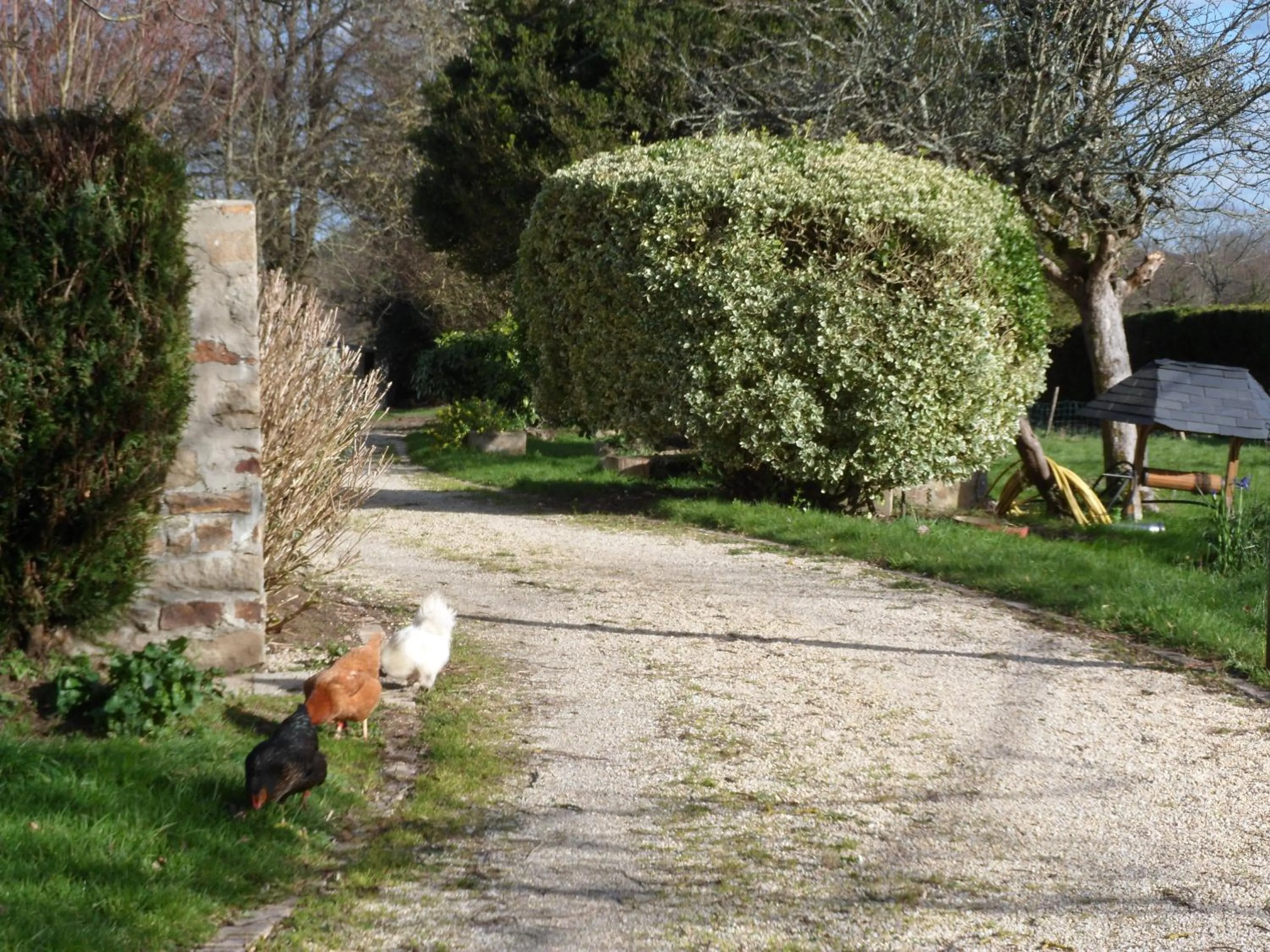 Other in Farmhouse in an amazing private park