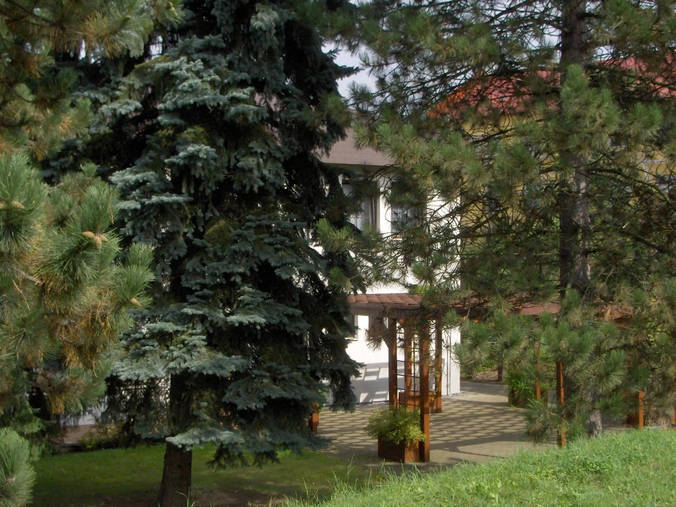 Garden view, Garden in Hotel Amos