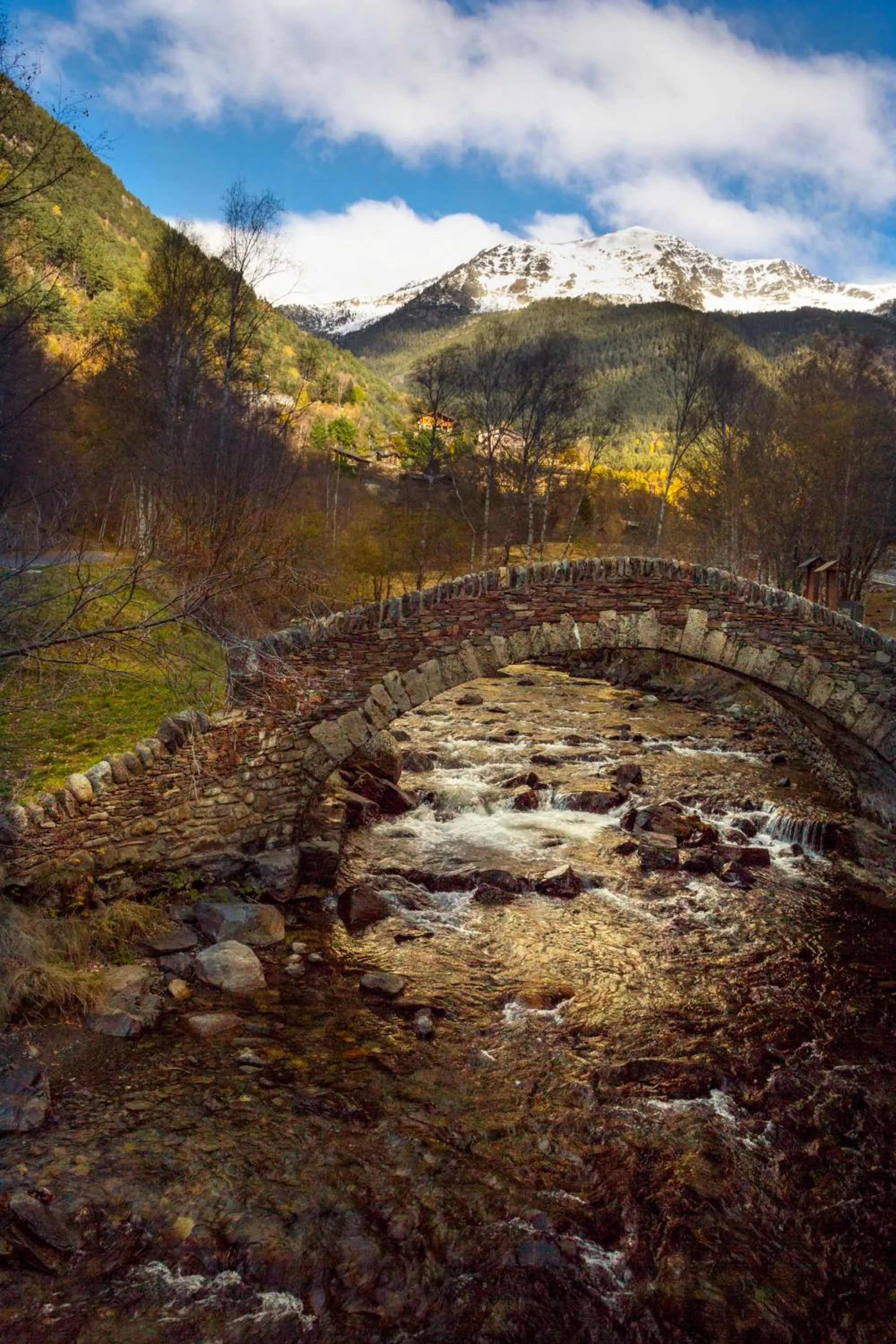 Natural landscape in Apartaments Giberga