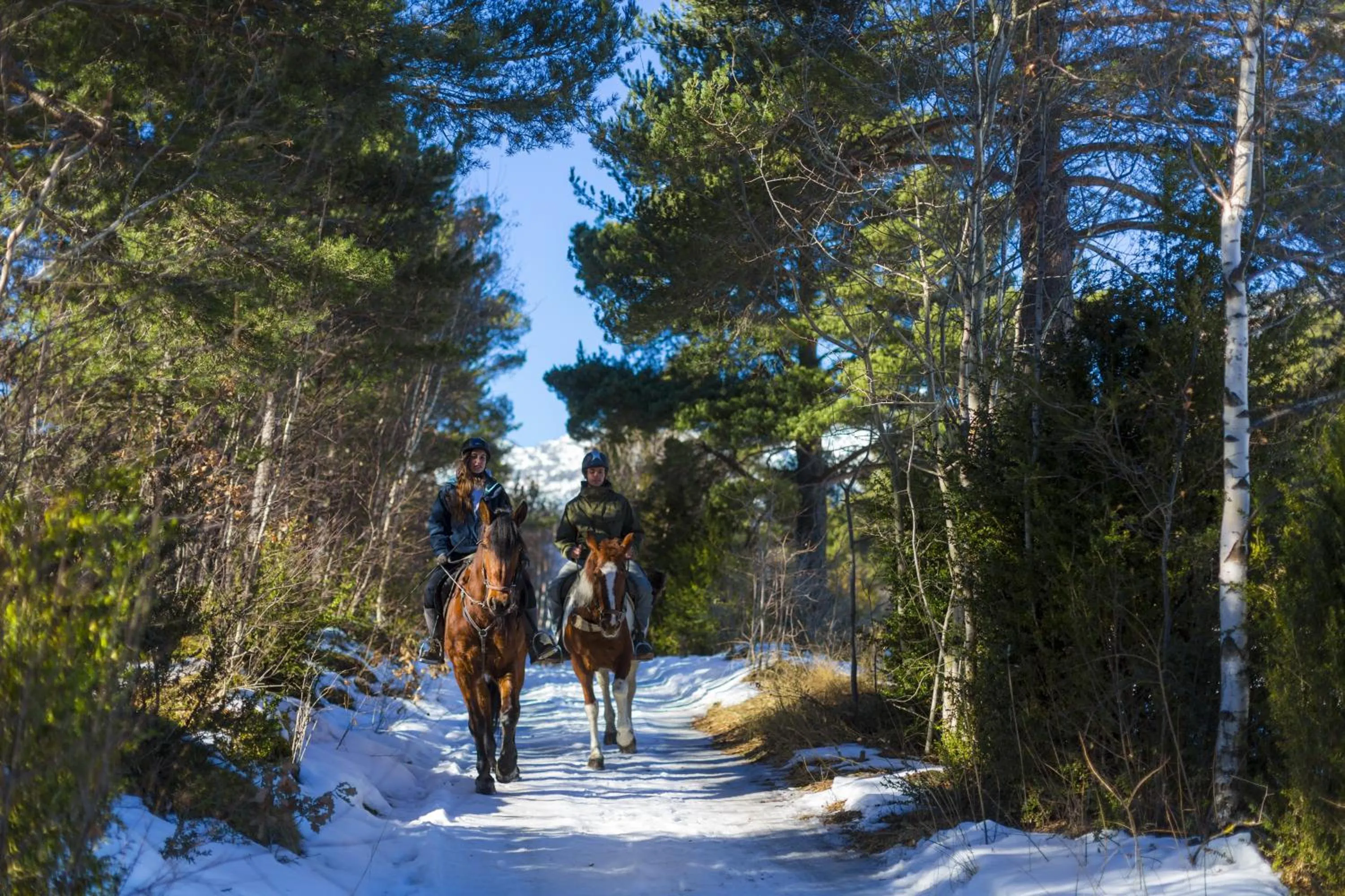 Horse-riding in Apartaments Giberga