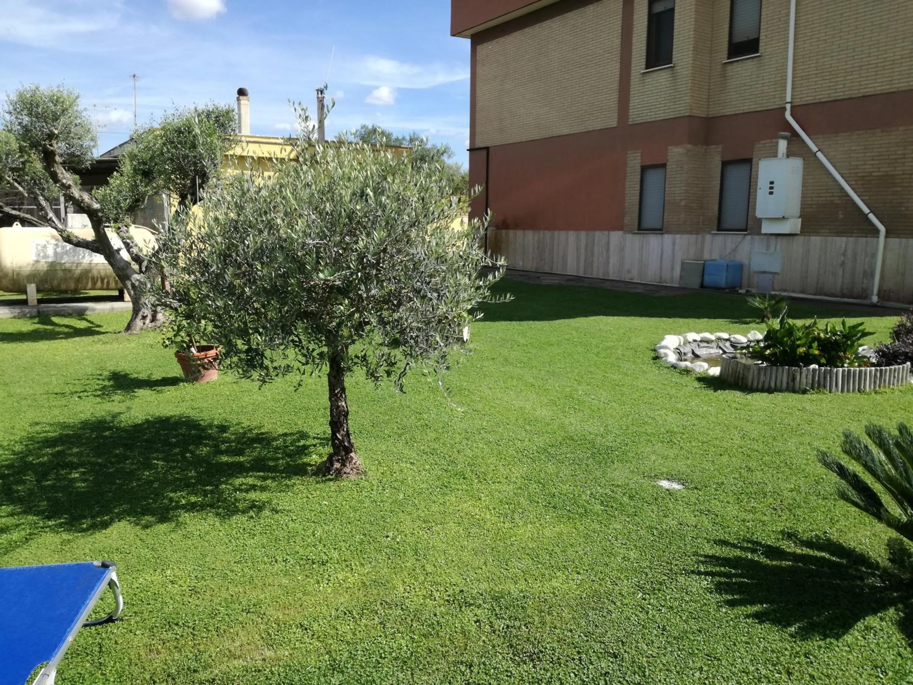 Garden in B&B Casa degli Ulivi