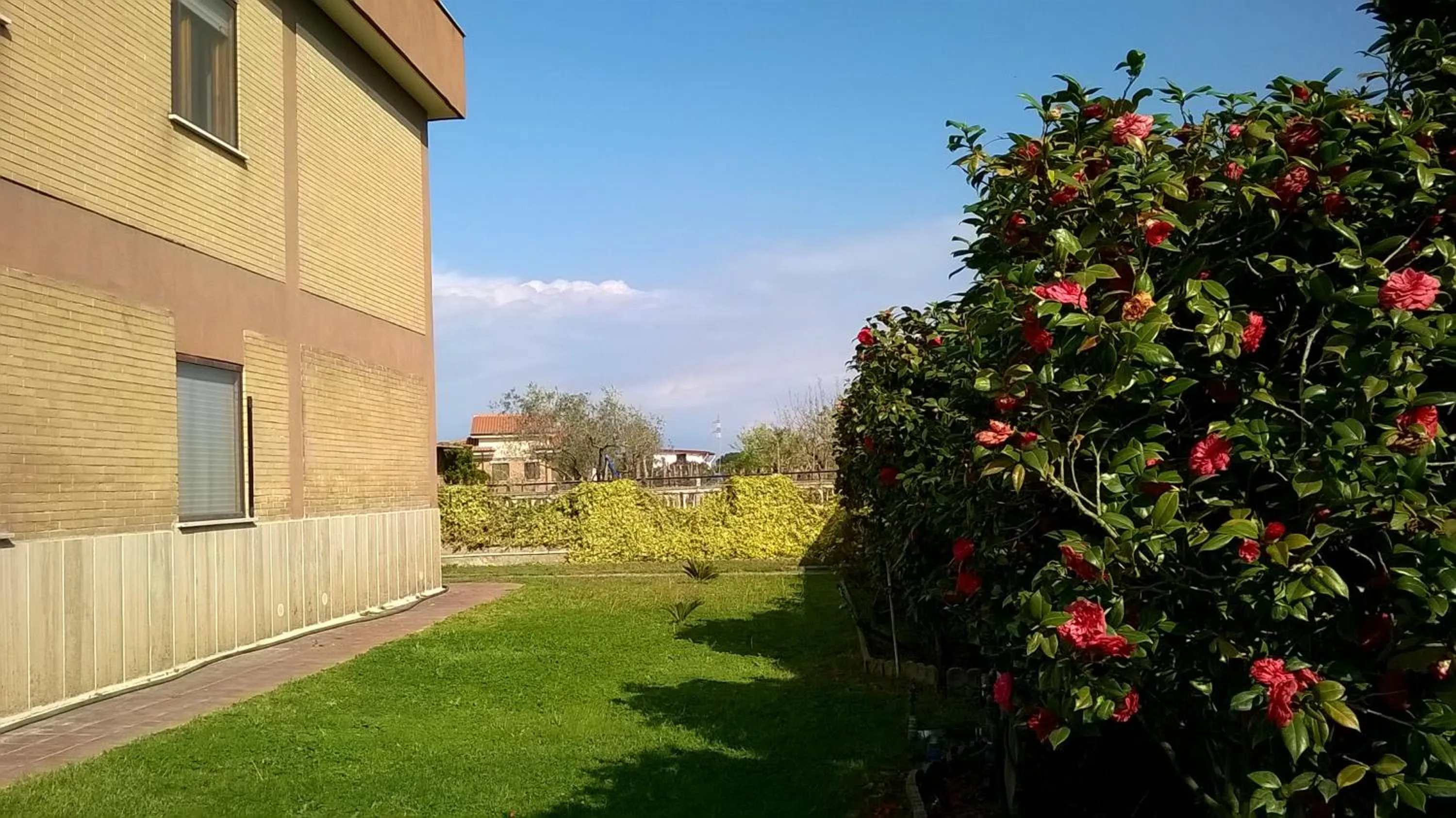 Garden view in B&B Casa degli Ulivi