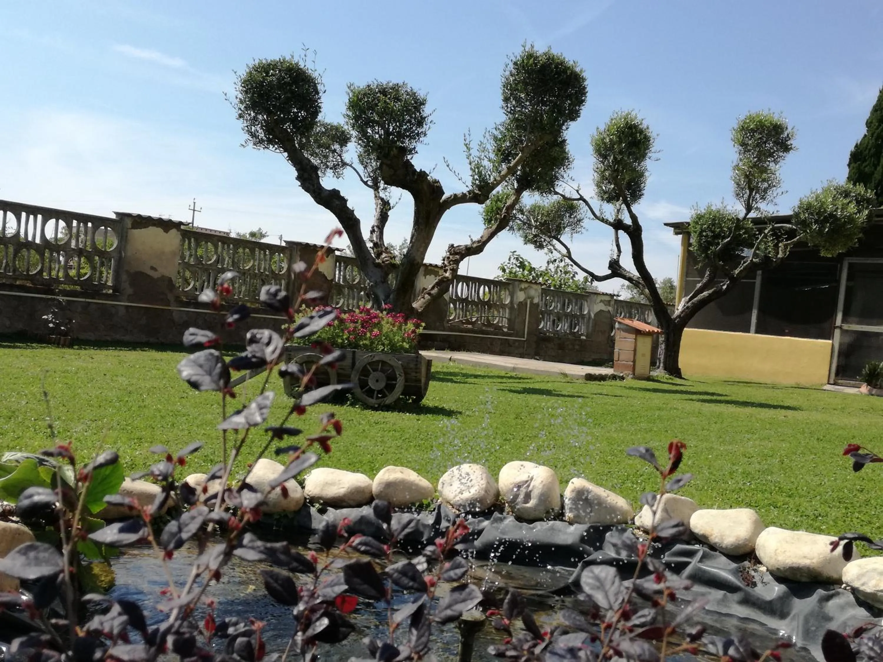 Garden in B&B Casa degli Ulivi