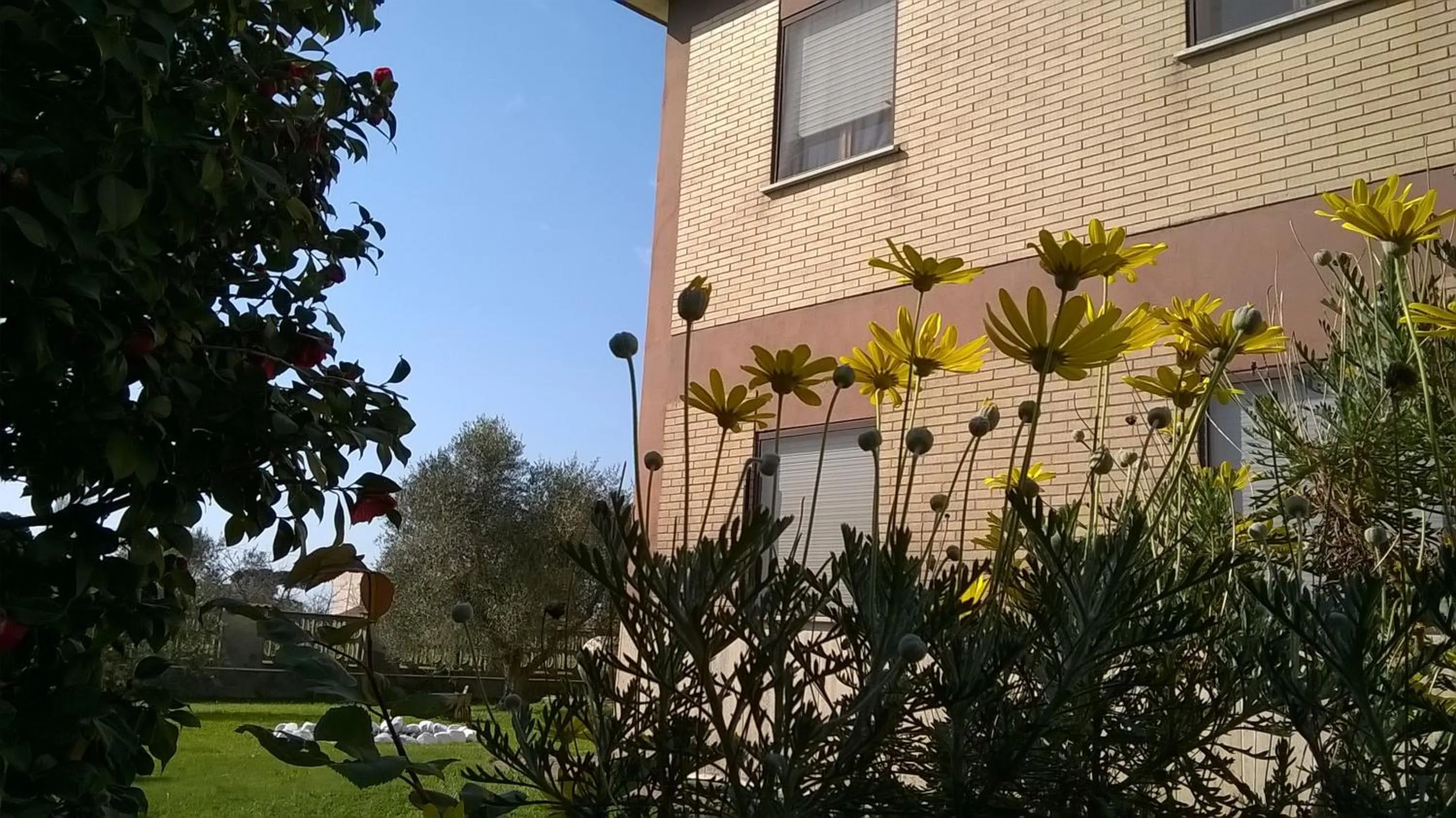 Property building in B&B Casa degli Ulivi