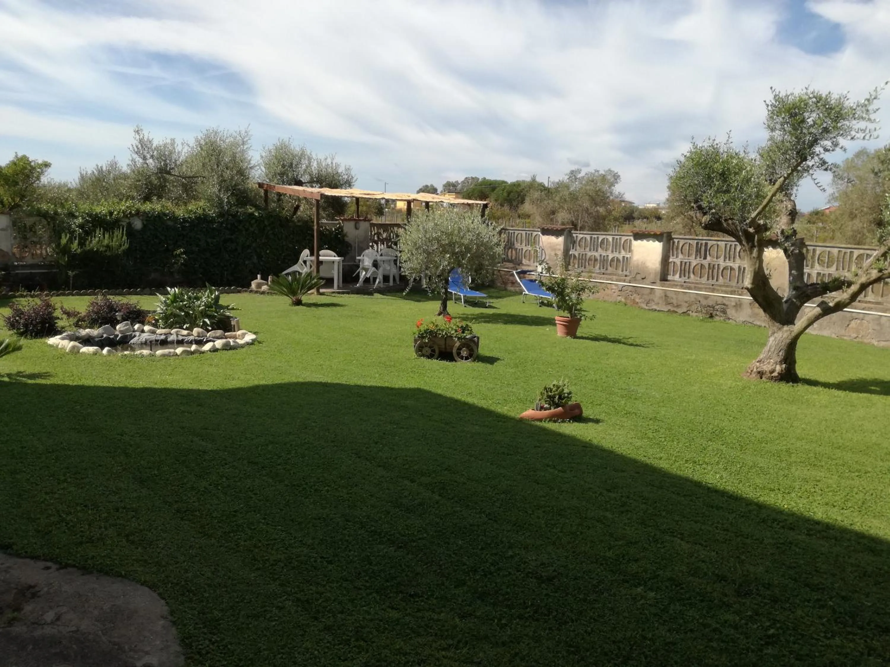 Garden in B&B Casa degli Ulivi