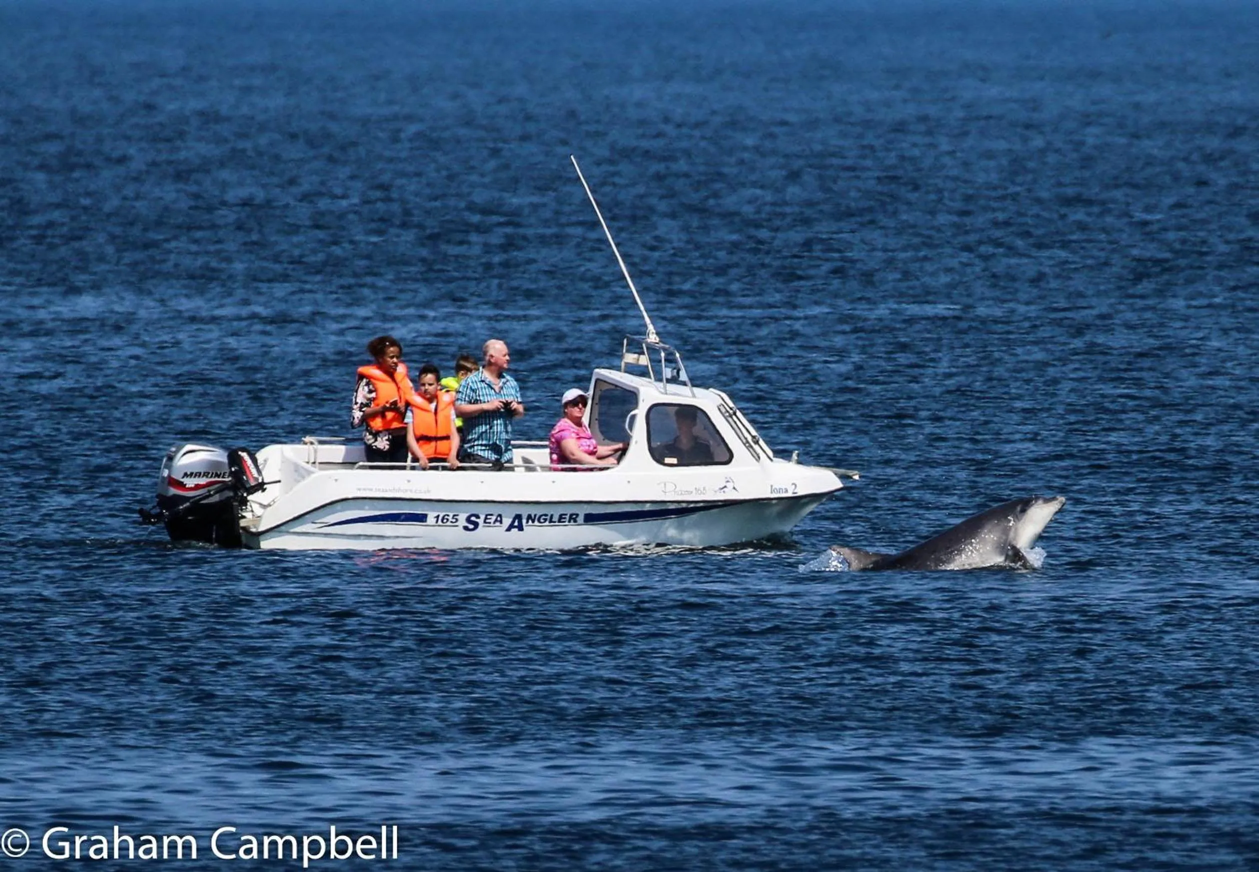 Other in Kintrae B&B