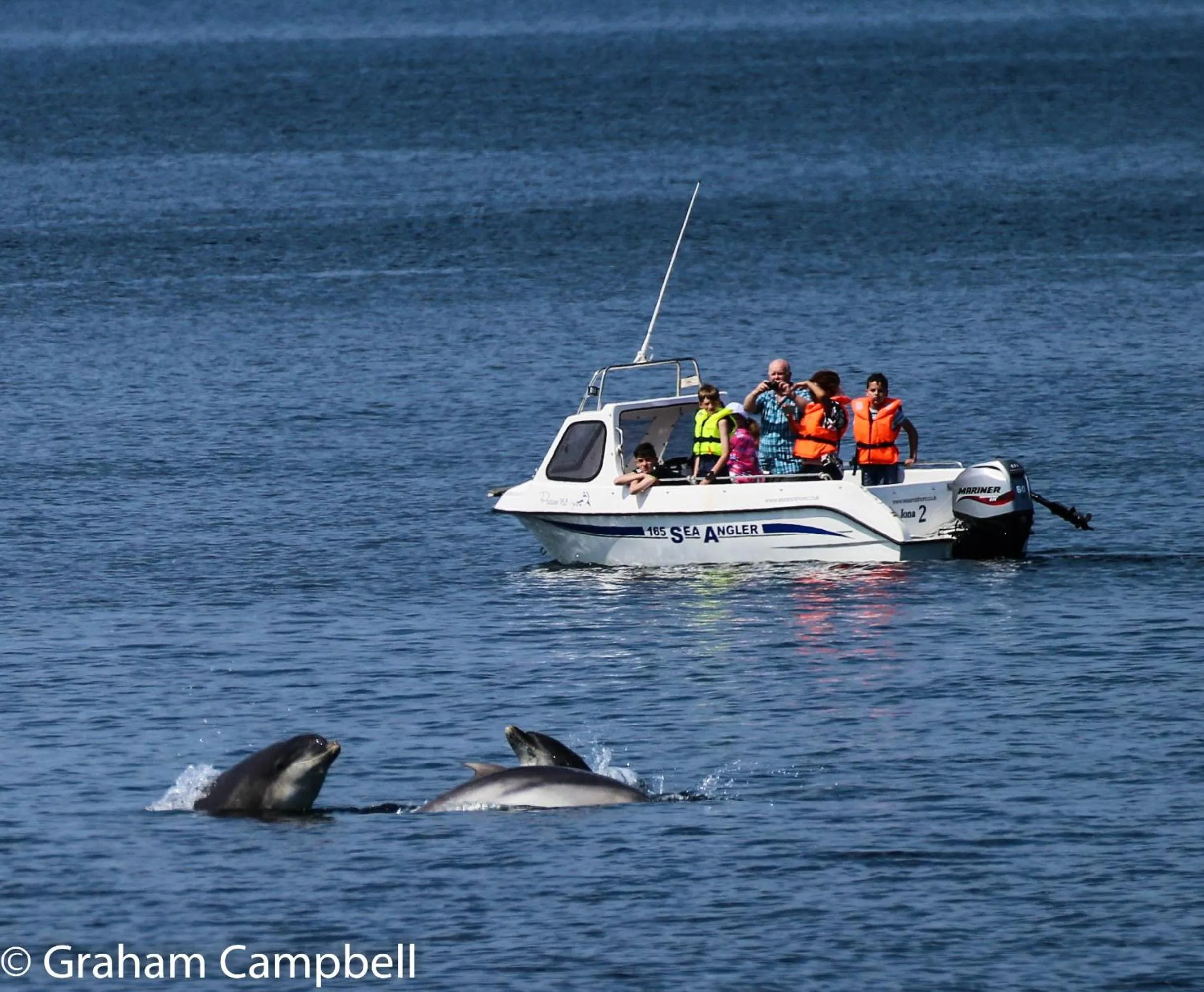 Beach in Kintrae B&B