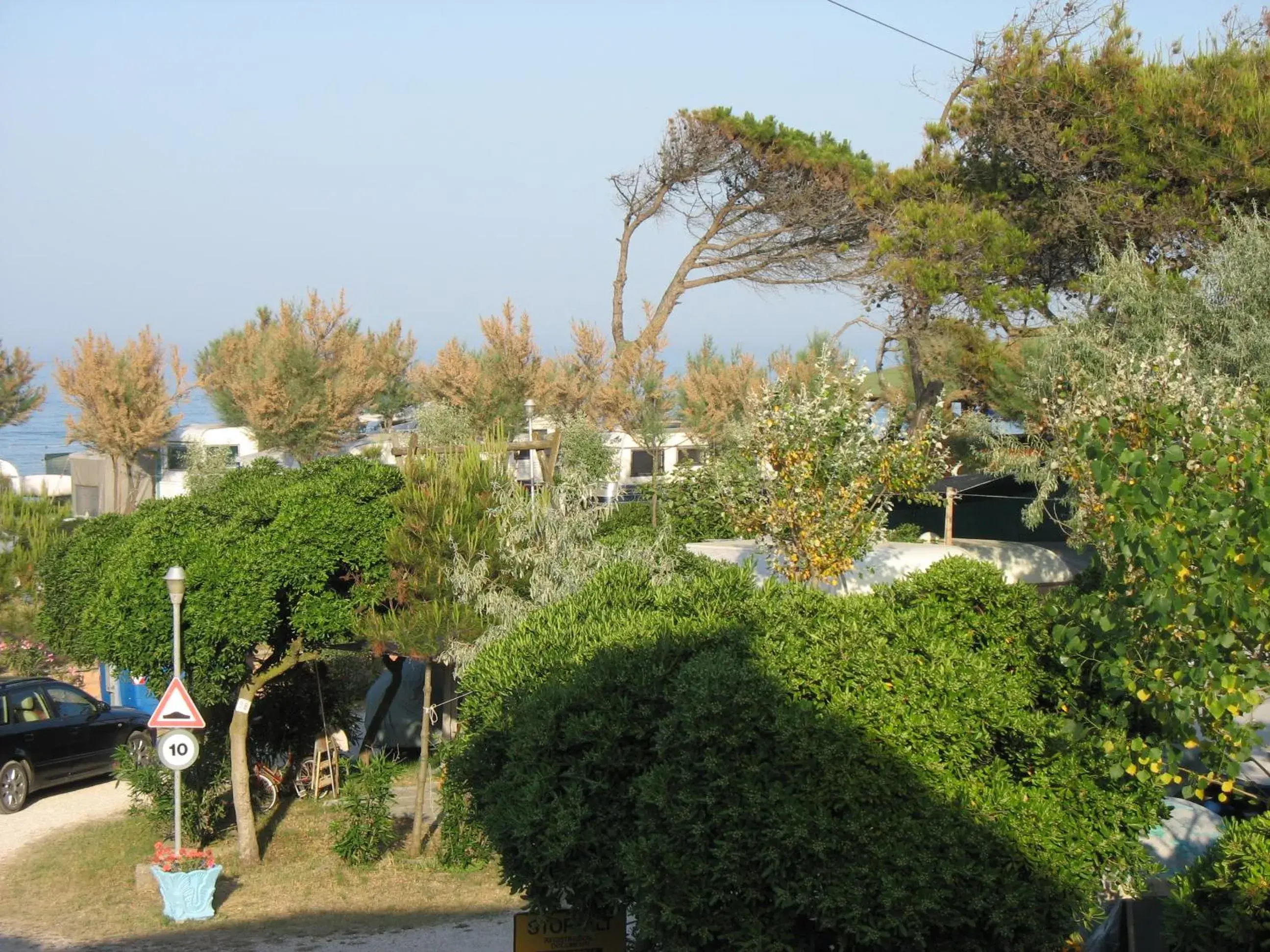 Camping La Pineta Camping La Pineta