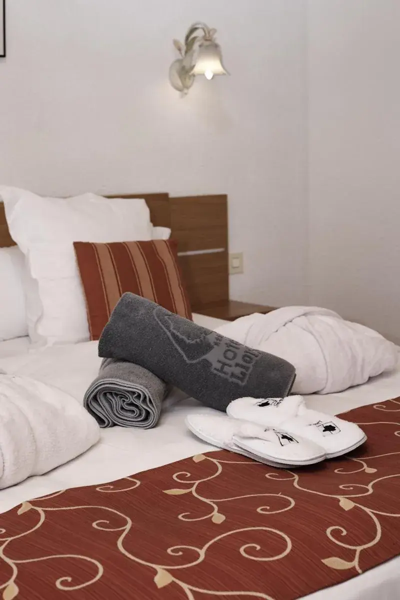 Double Room in Hotel & SPA Llop Gris Double Room in Hotel & SPA Llop Gris