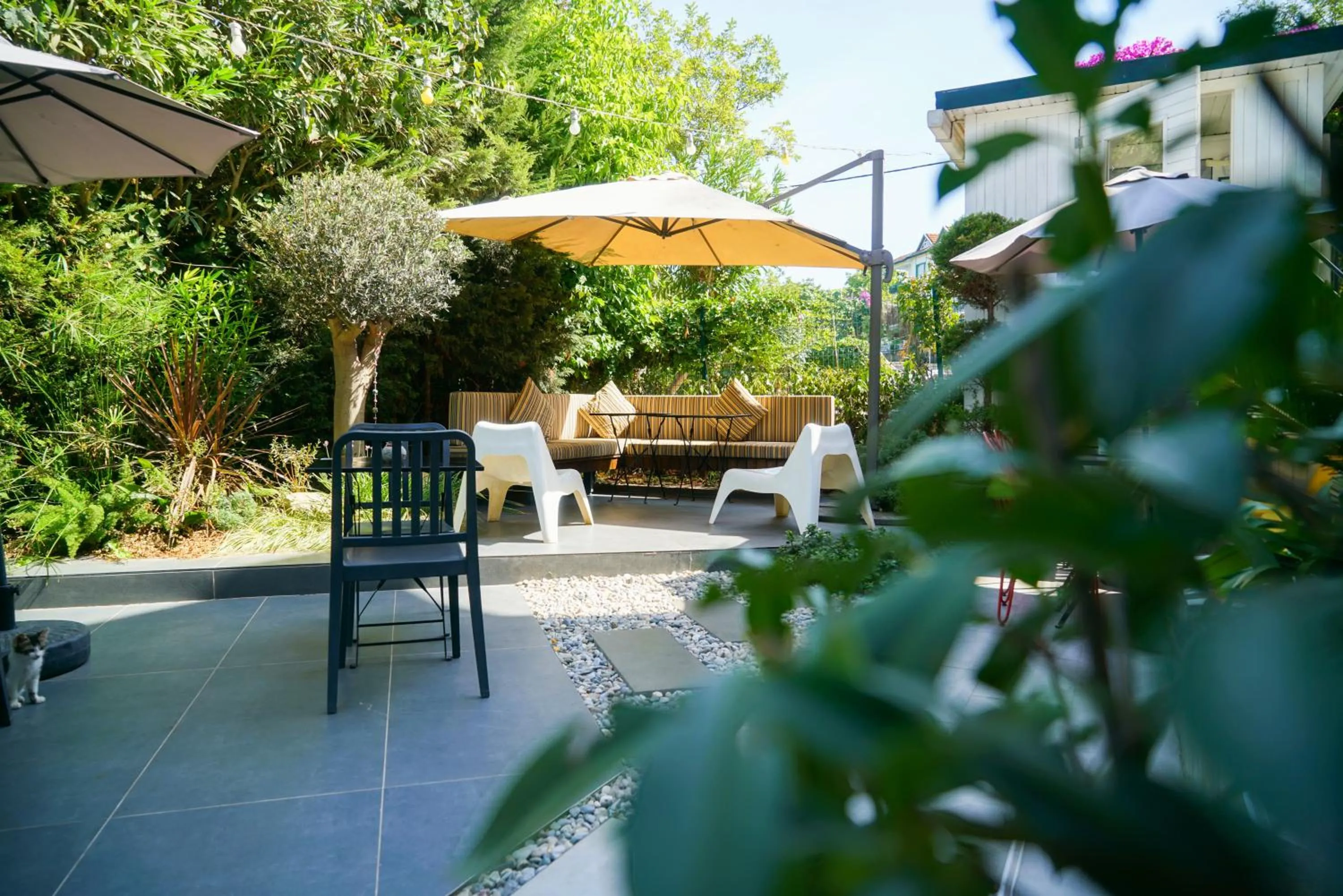 Property building in Serguzest Otel