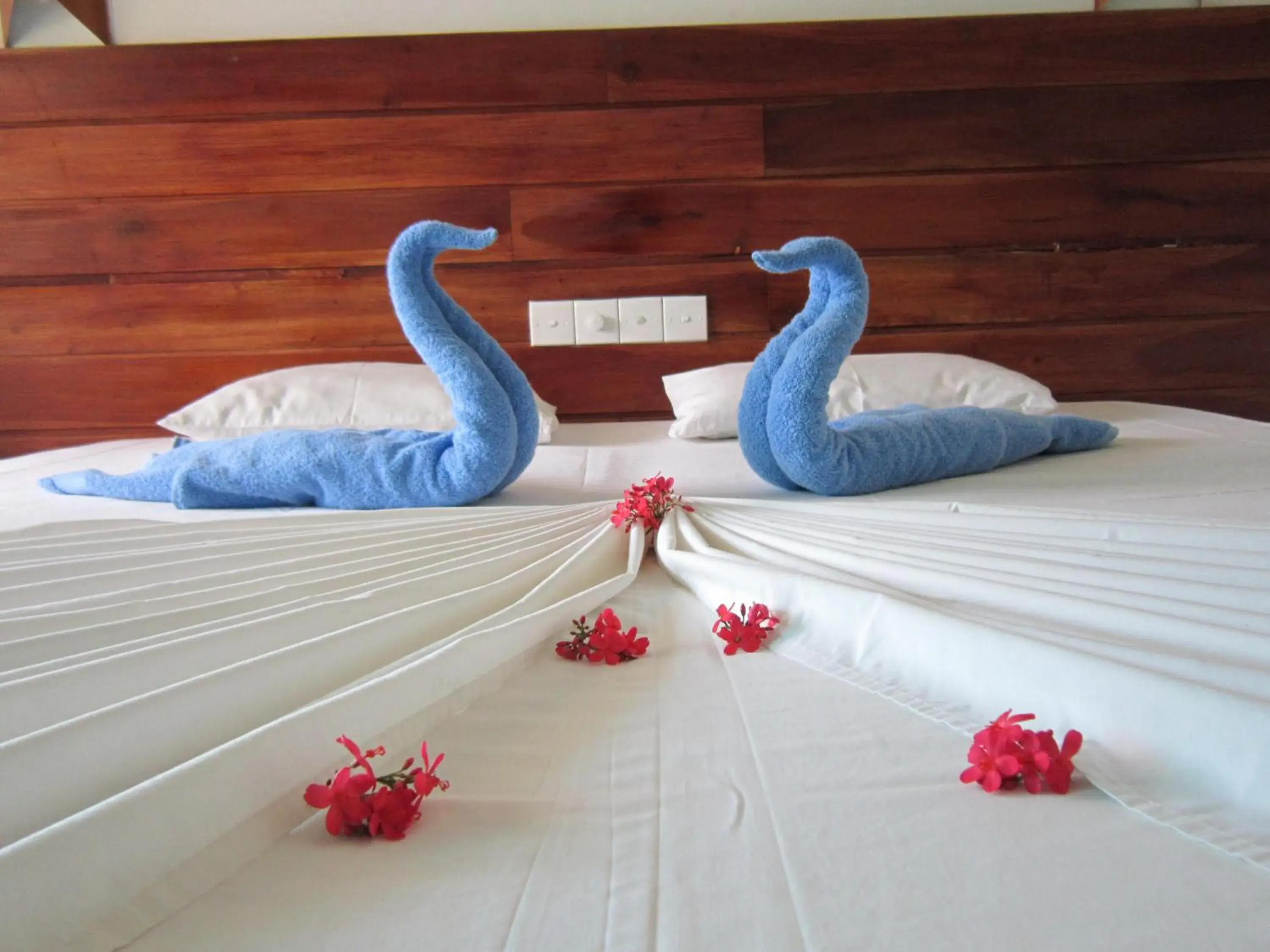 Deluxe Double Room with Balcony and Sea View in Janus Paradise Rest Deluxe Double Room with Balcony and Sea View in Janus Paradise Rest