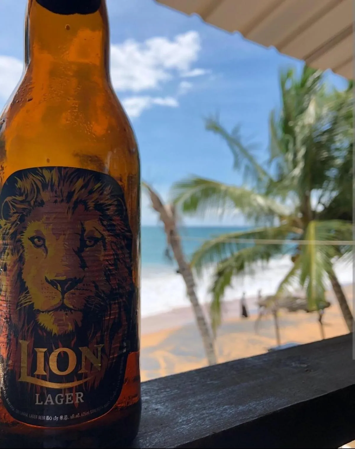 Food and drinks in Janus Paradise Rest