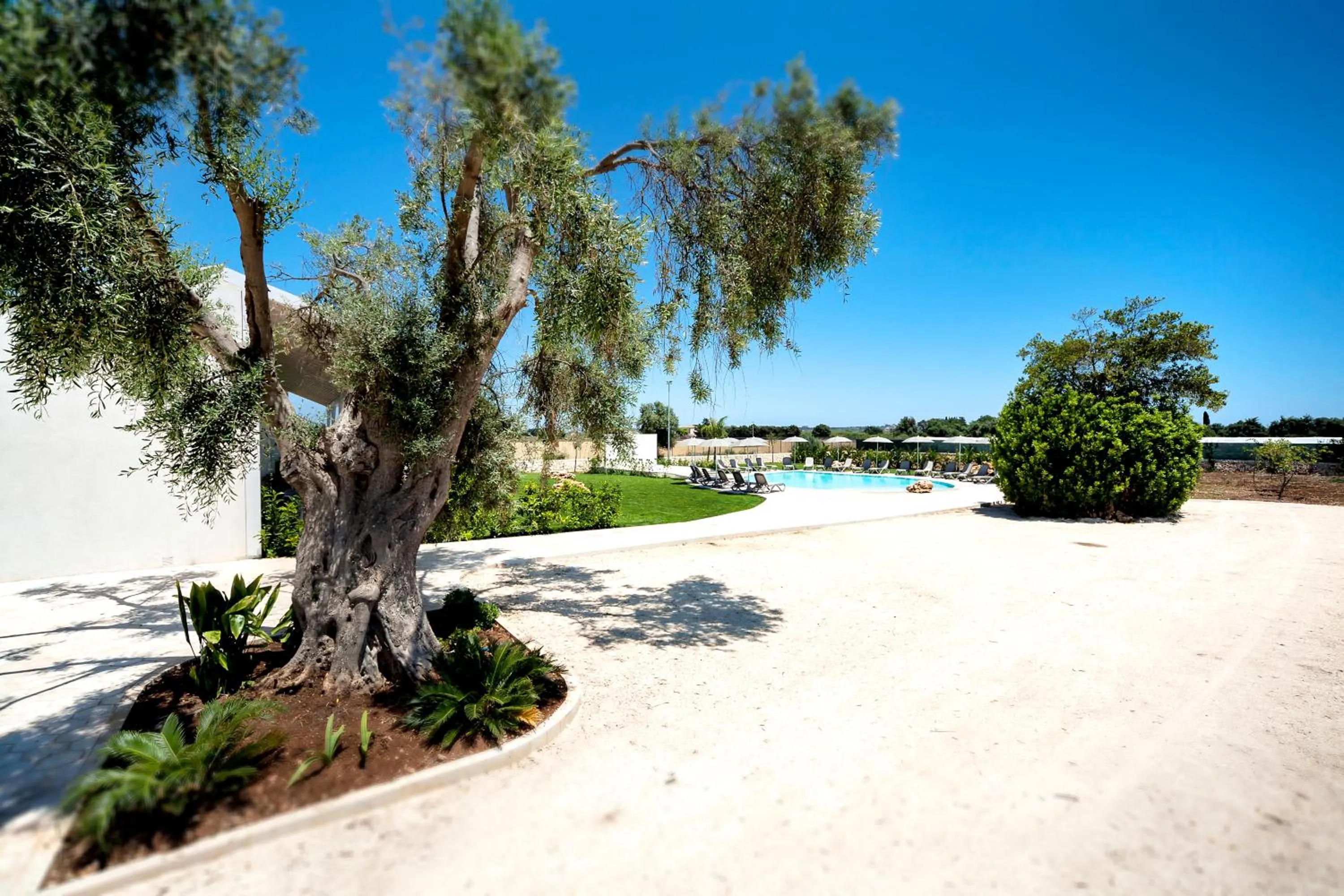 Garden view in Addauro Resort