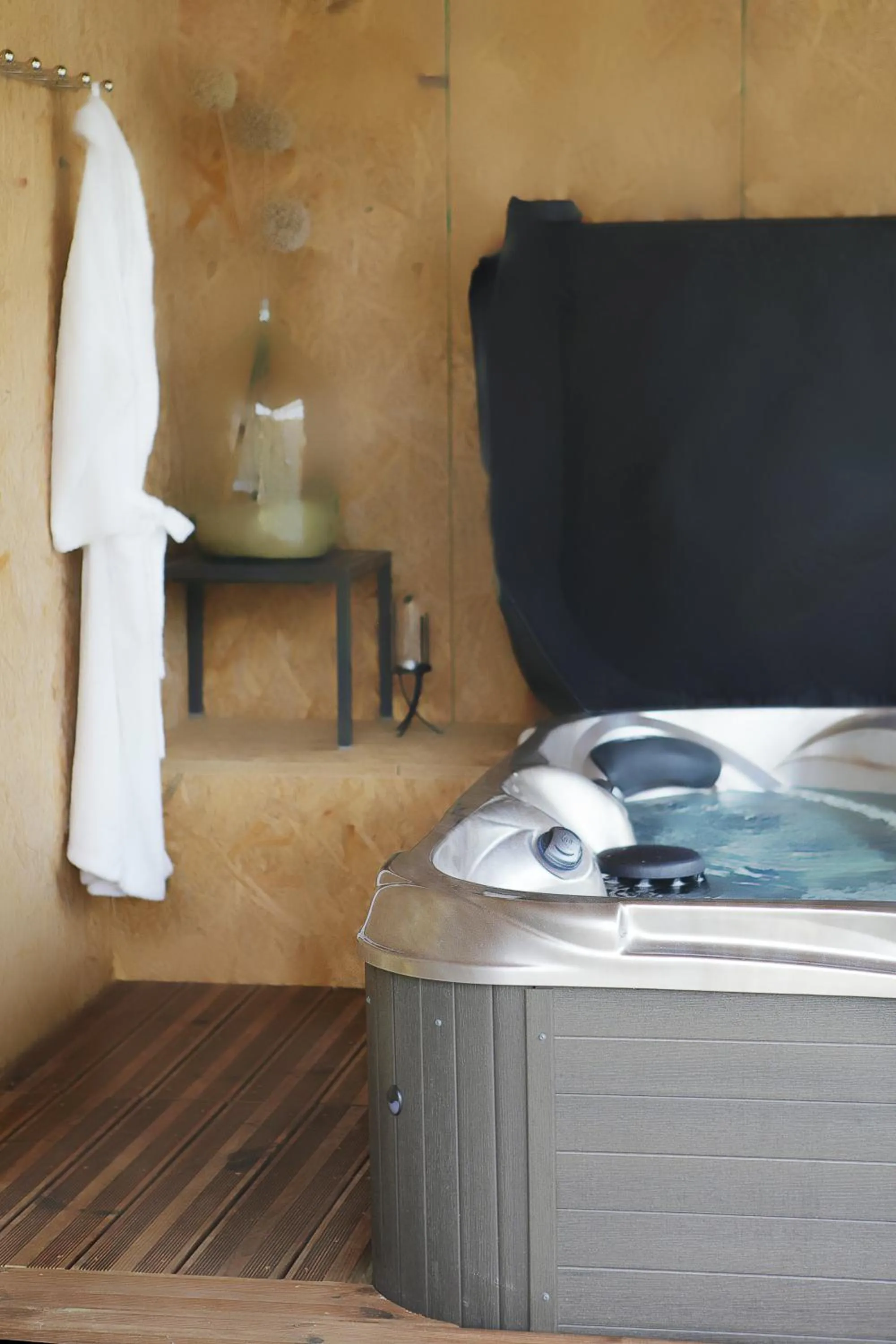 Spa and wellness centre/facilities in Auberge Bressane de Buellas