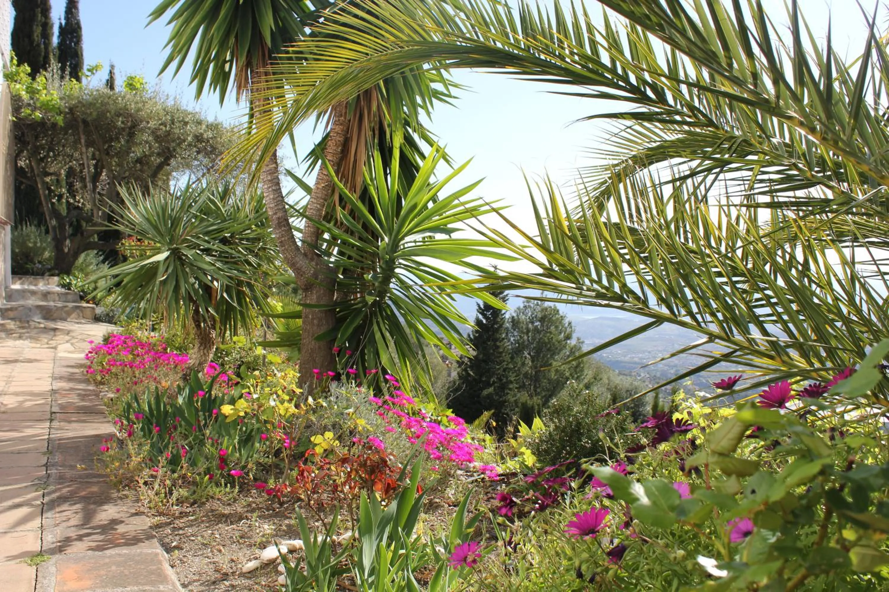 Garden in El Nispero Dulce