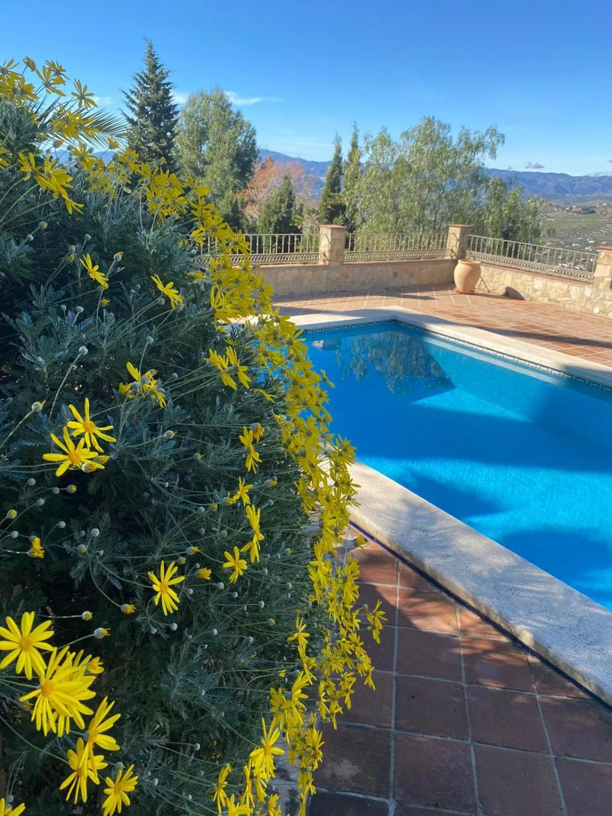 Swimming pool in El Nispero Dulce
