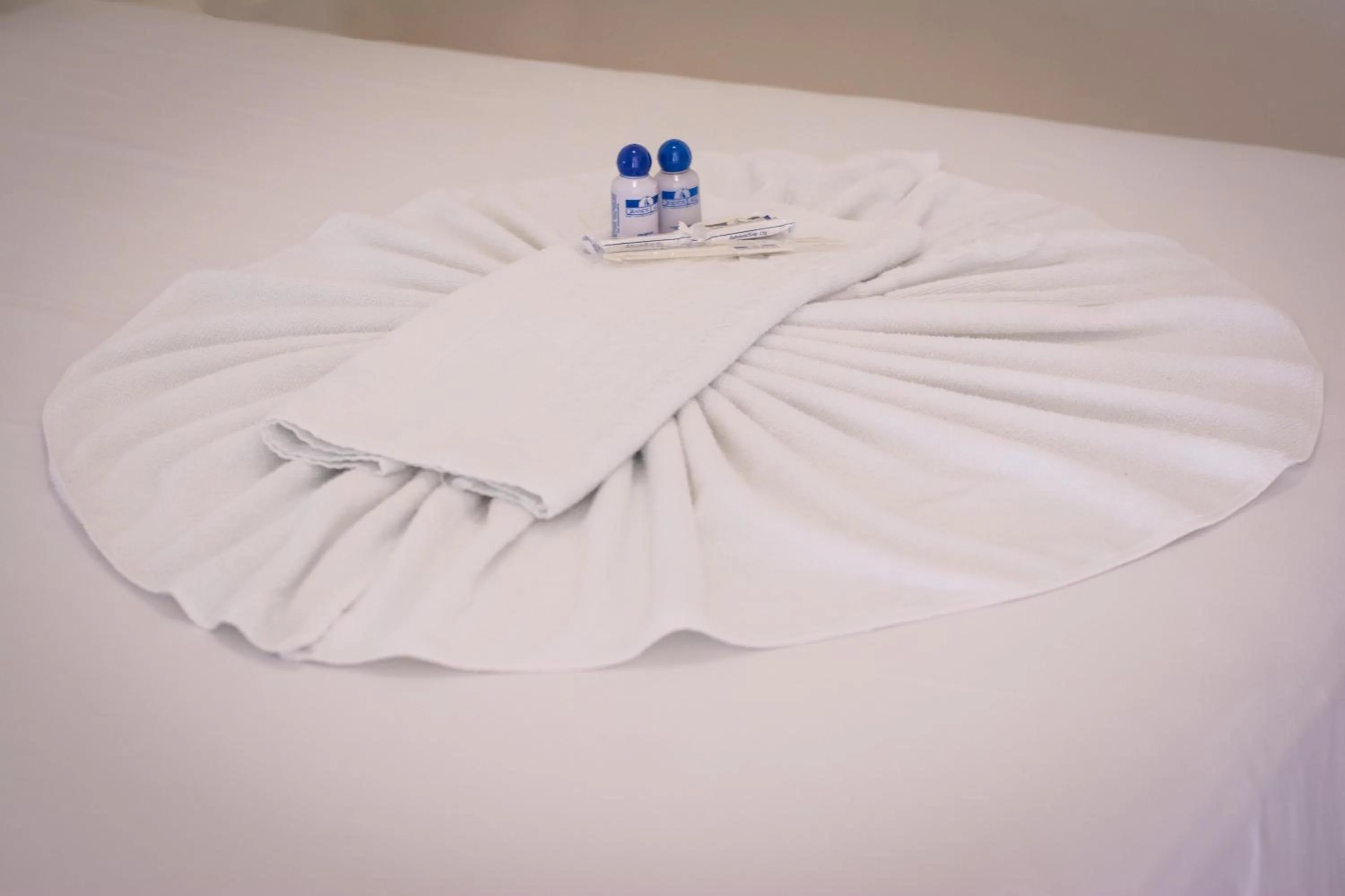 Decorative detail, Bed in Grande Lago Hotel Gastronomia Bar