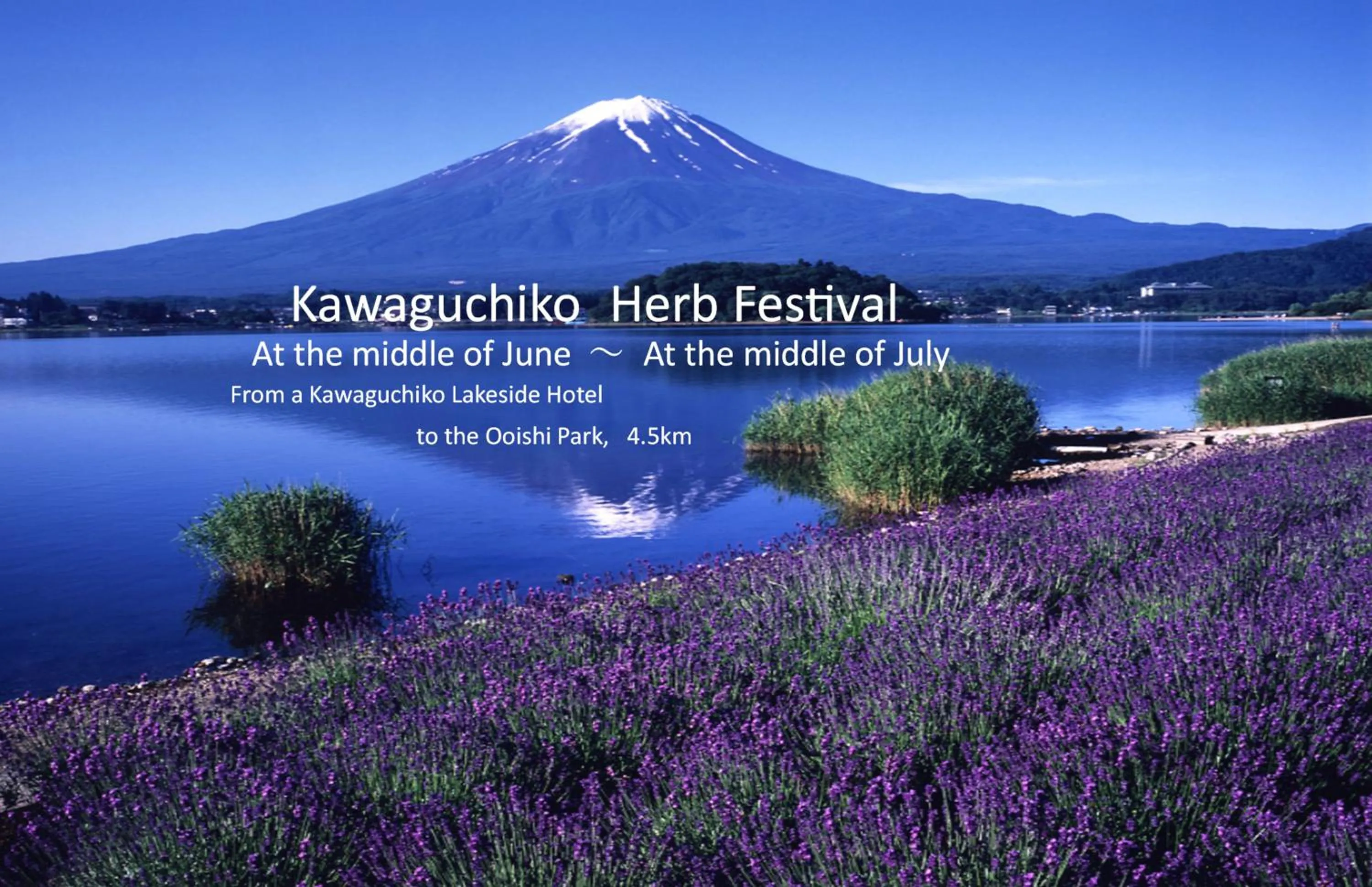 Nearby landmark in Kawaguchiko Lakeside Hotel