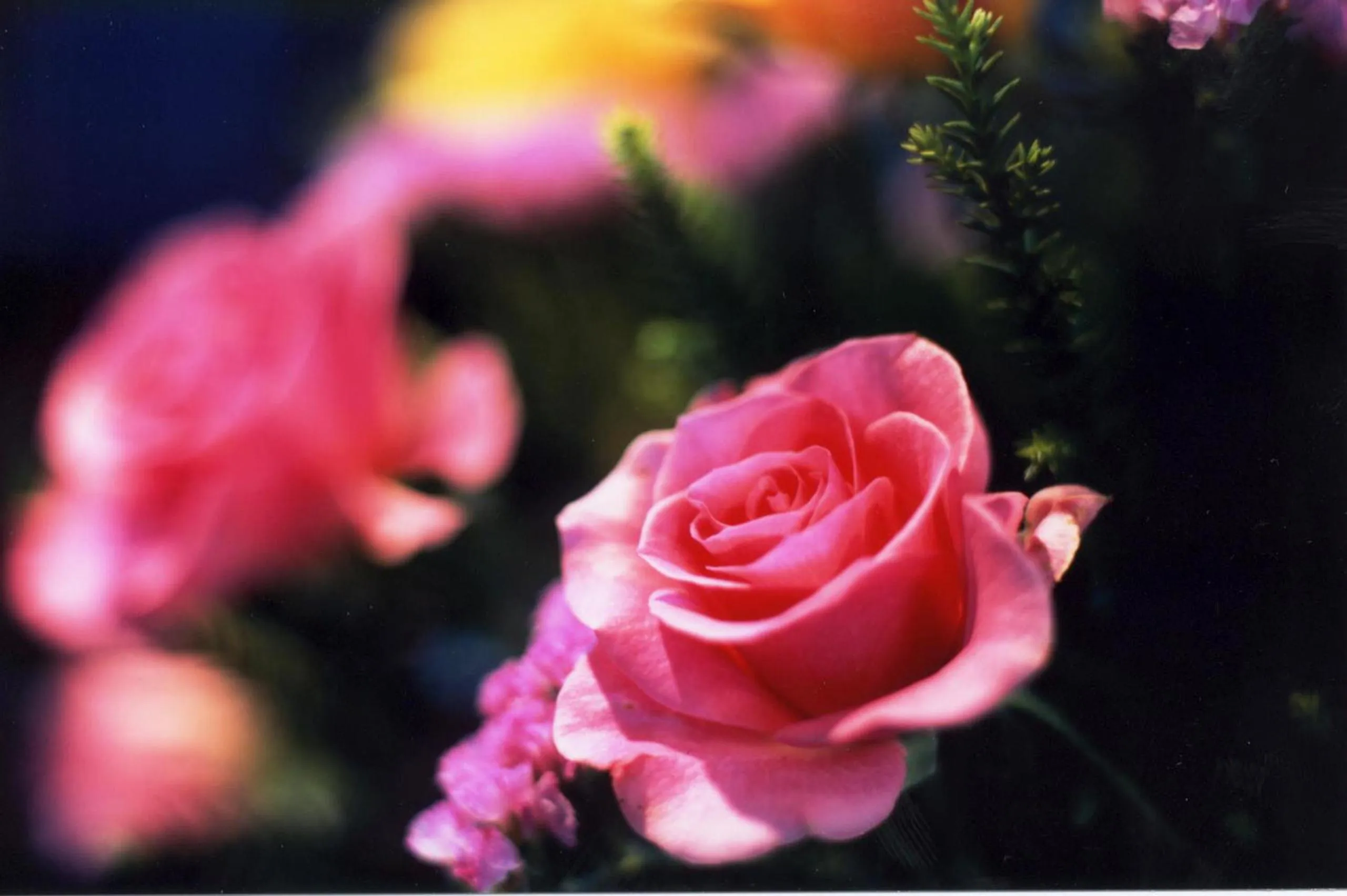 Decorative detail in Kawaguchiko Lakeside Hotel