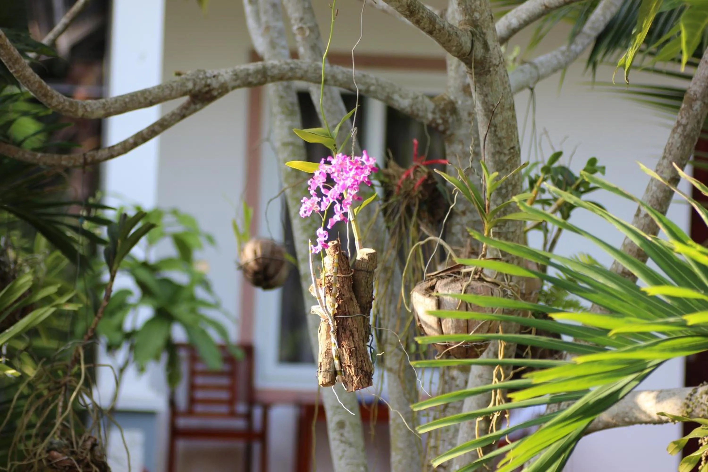 Garden in Long Mountain Resort