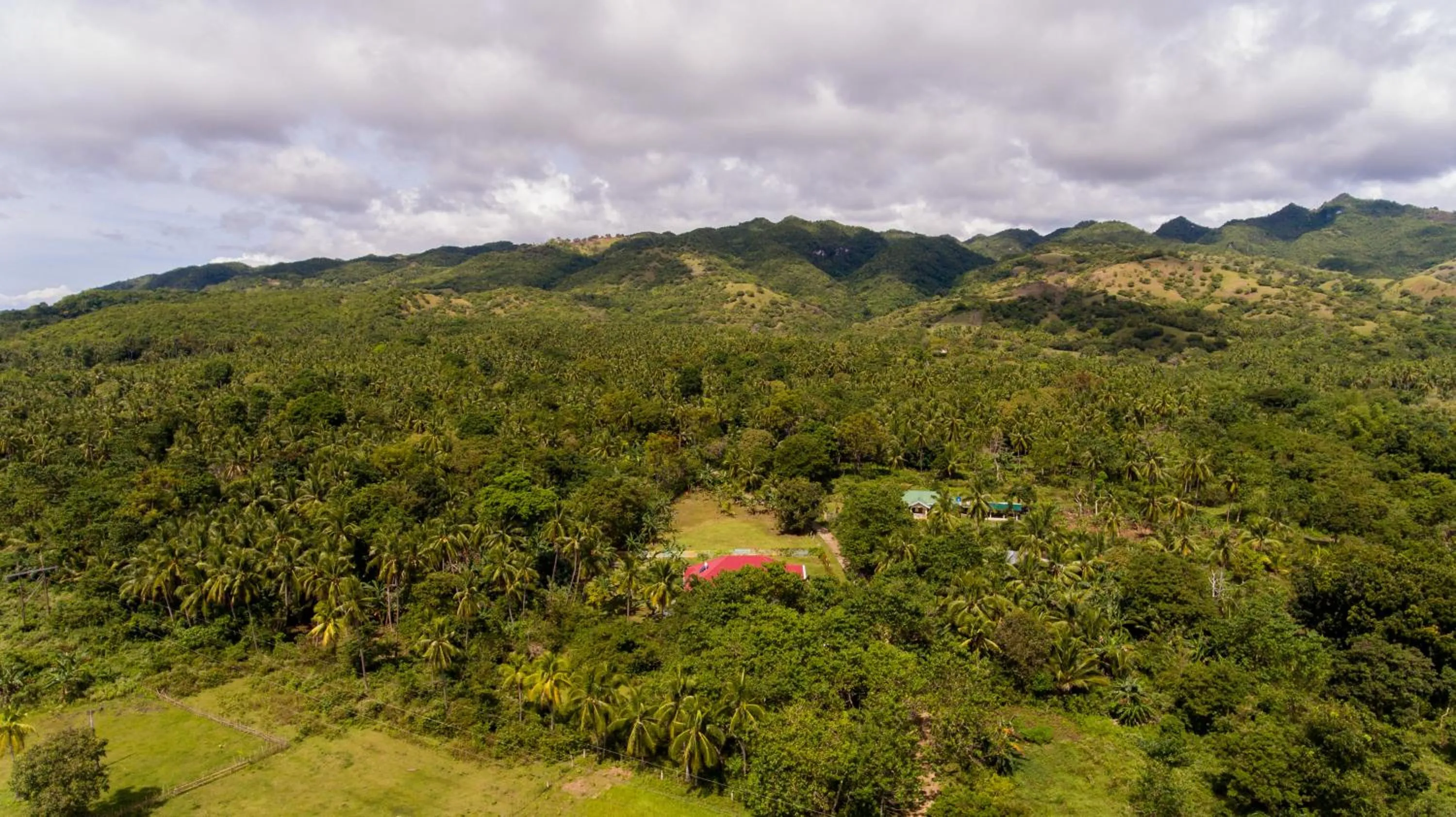 Property building in Bohol White House Bed & Breakfast