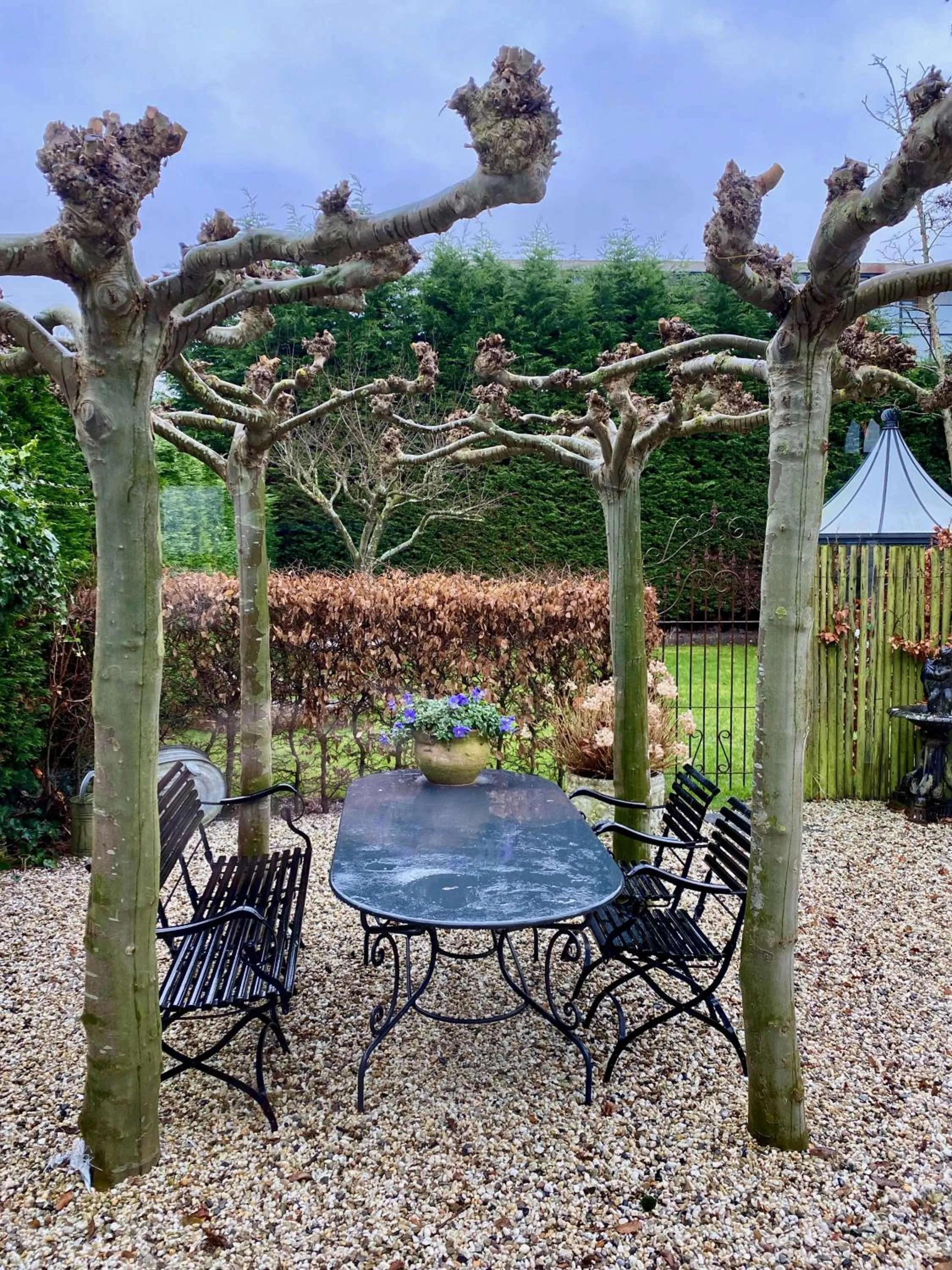 Garden view in Het Koetshuis