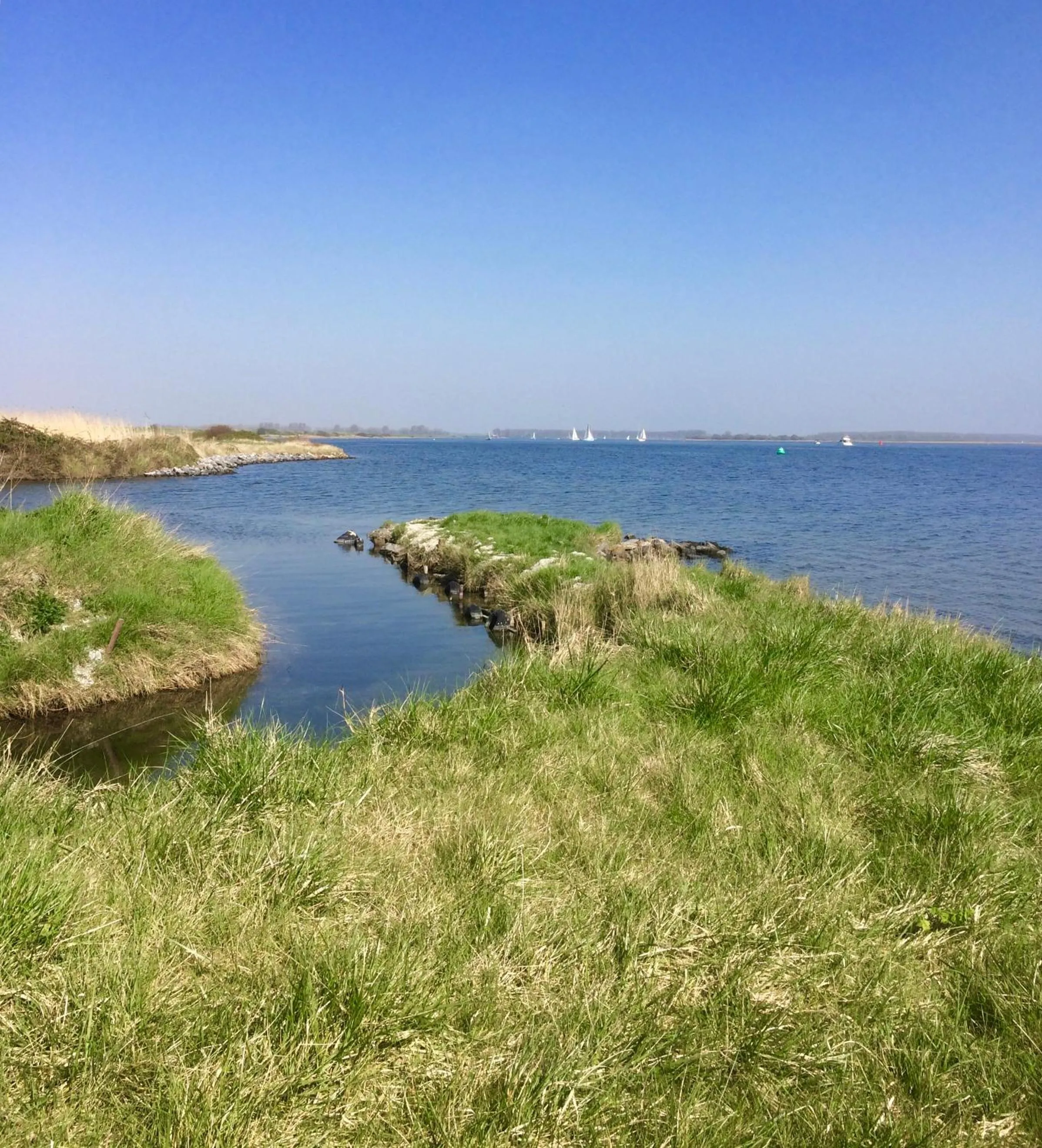 Neighbourhood in Het Koetshuis