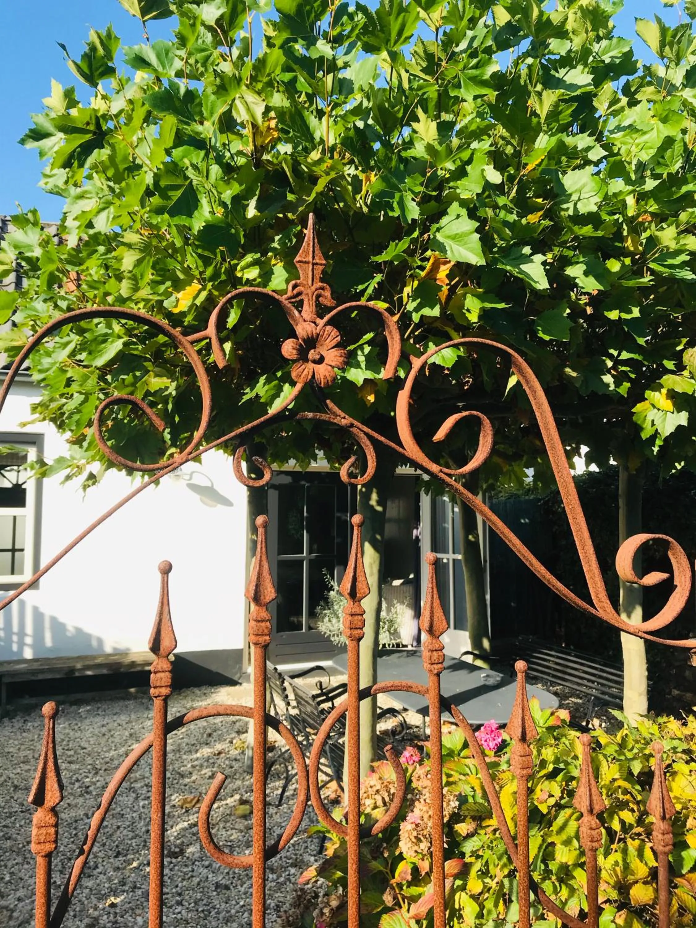 Garden in Het Koetshuis