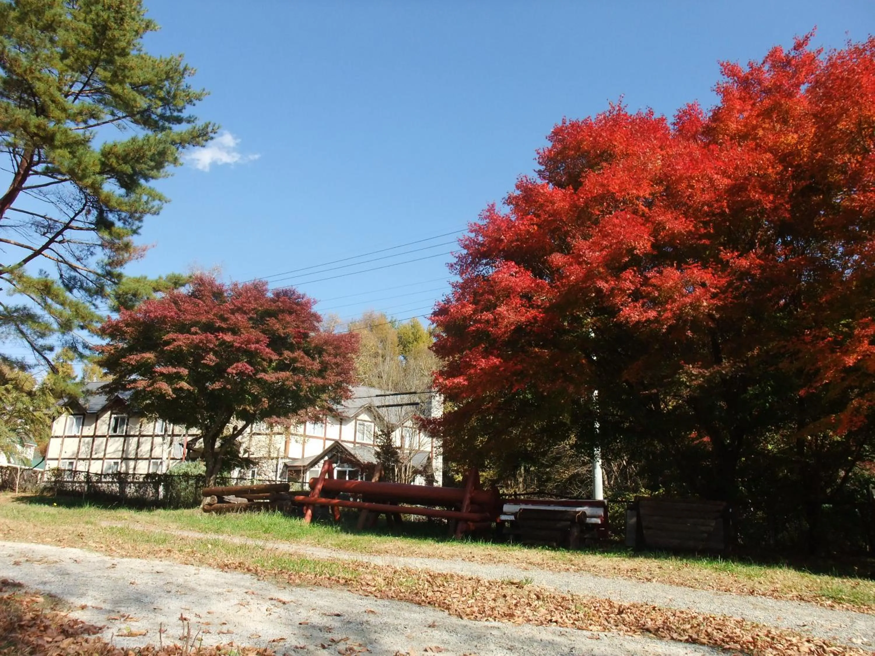 Property building in Gasthof Ascot
