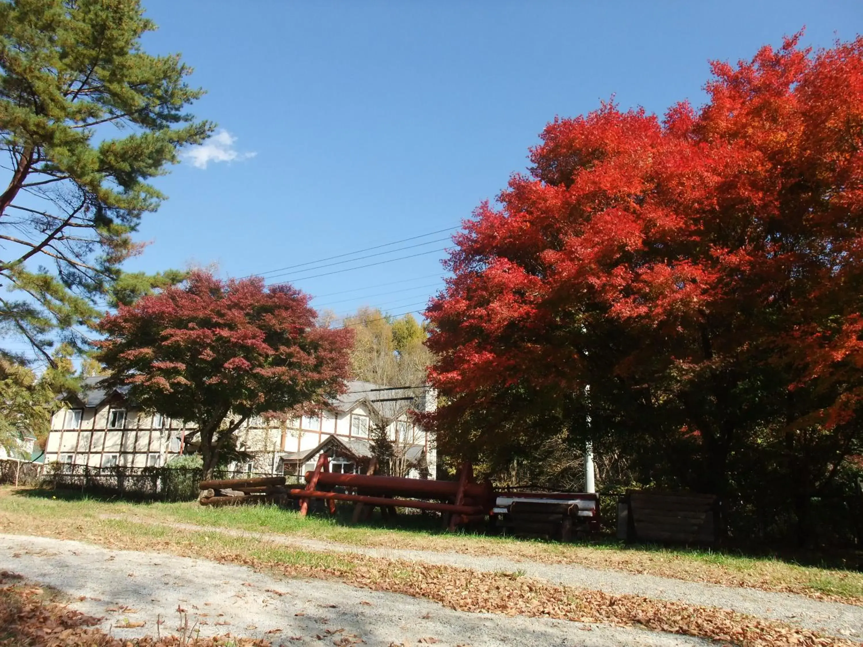 Property building in Gasthof Ascot Property building in Gasthof Ascot
