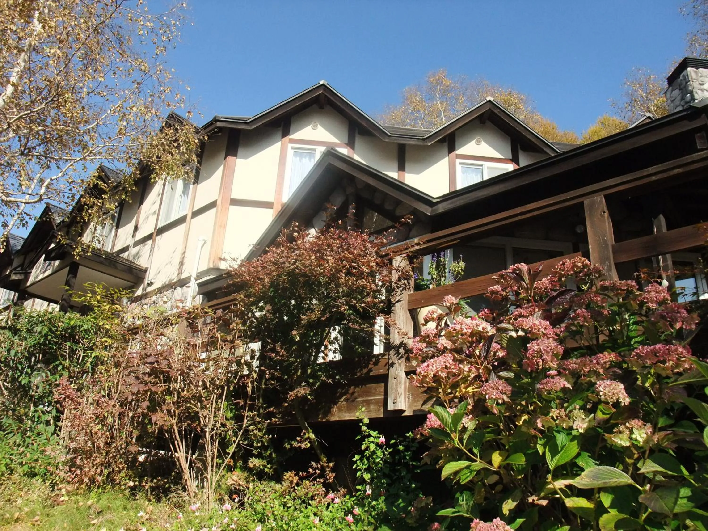 Property building in Gasthof Ascot