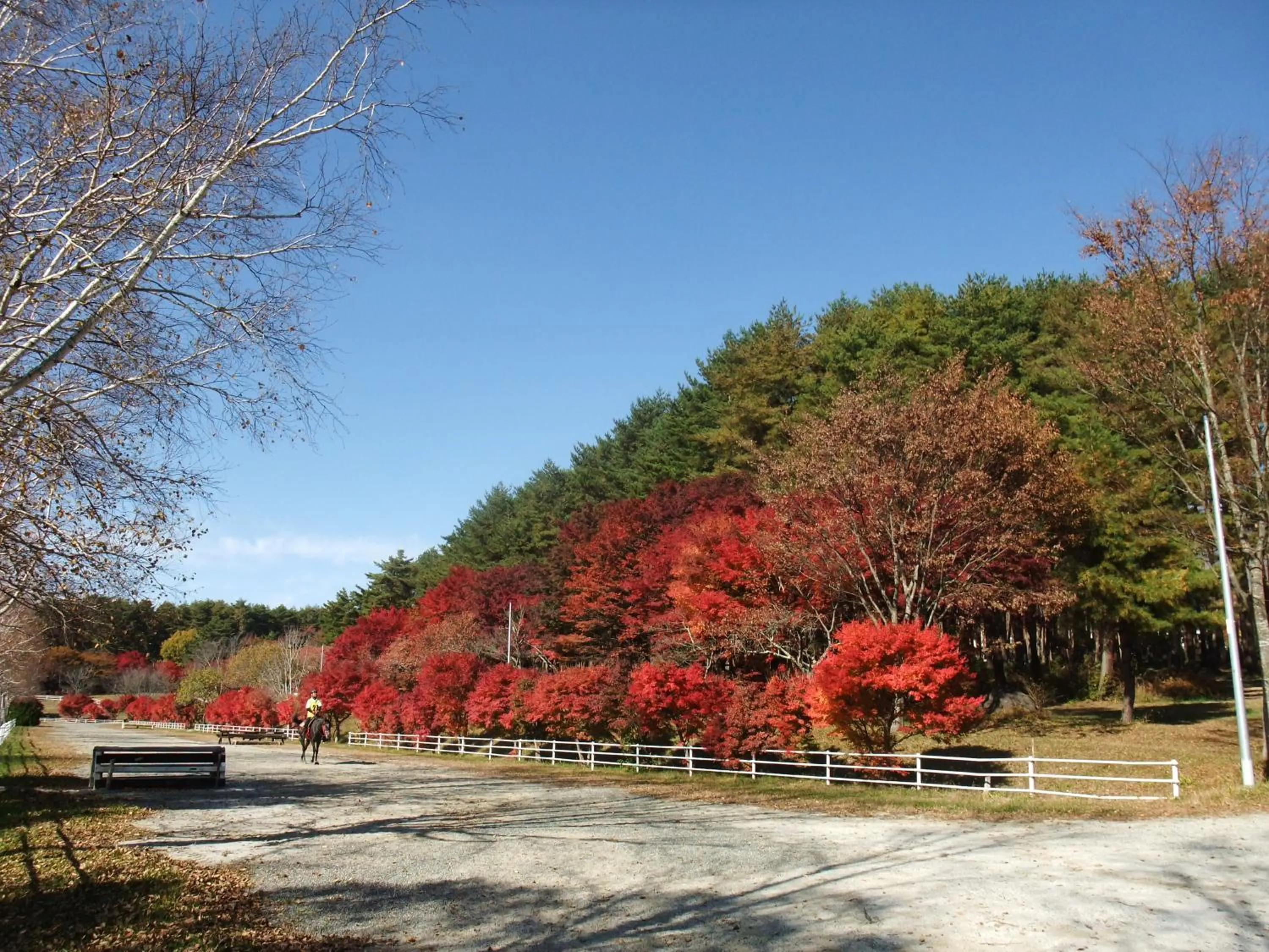 Natural landscape in Gasthof Ascot