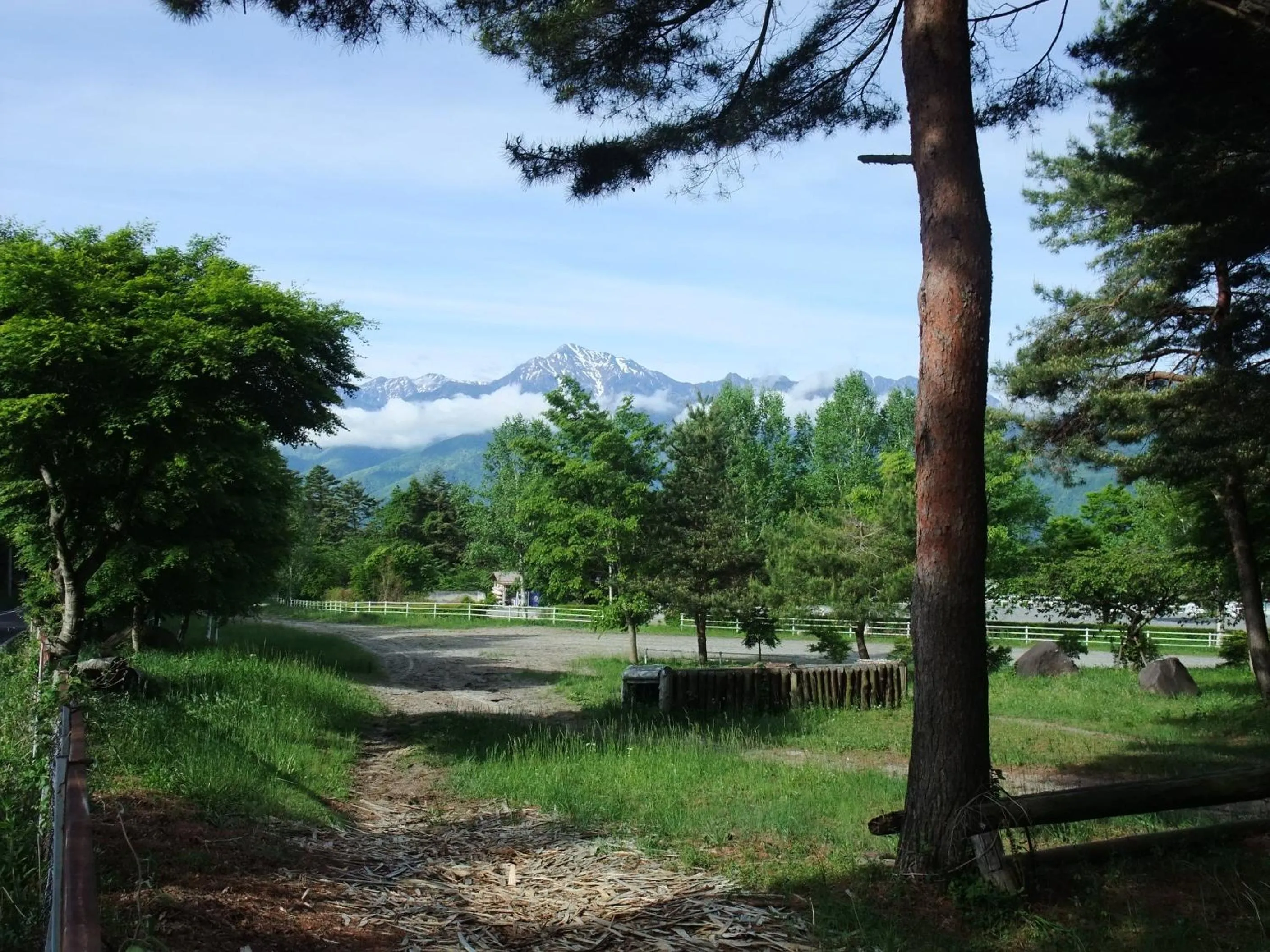 Neighbourhood in Gasthof Ascot