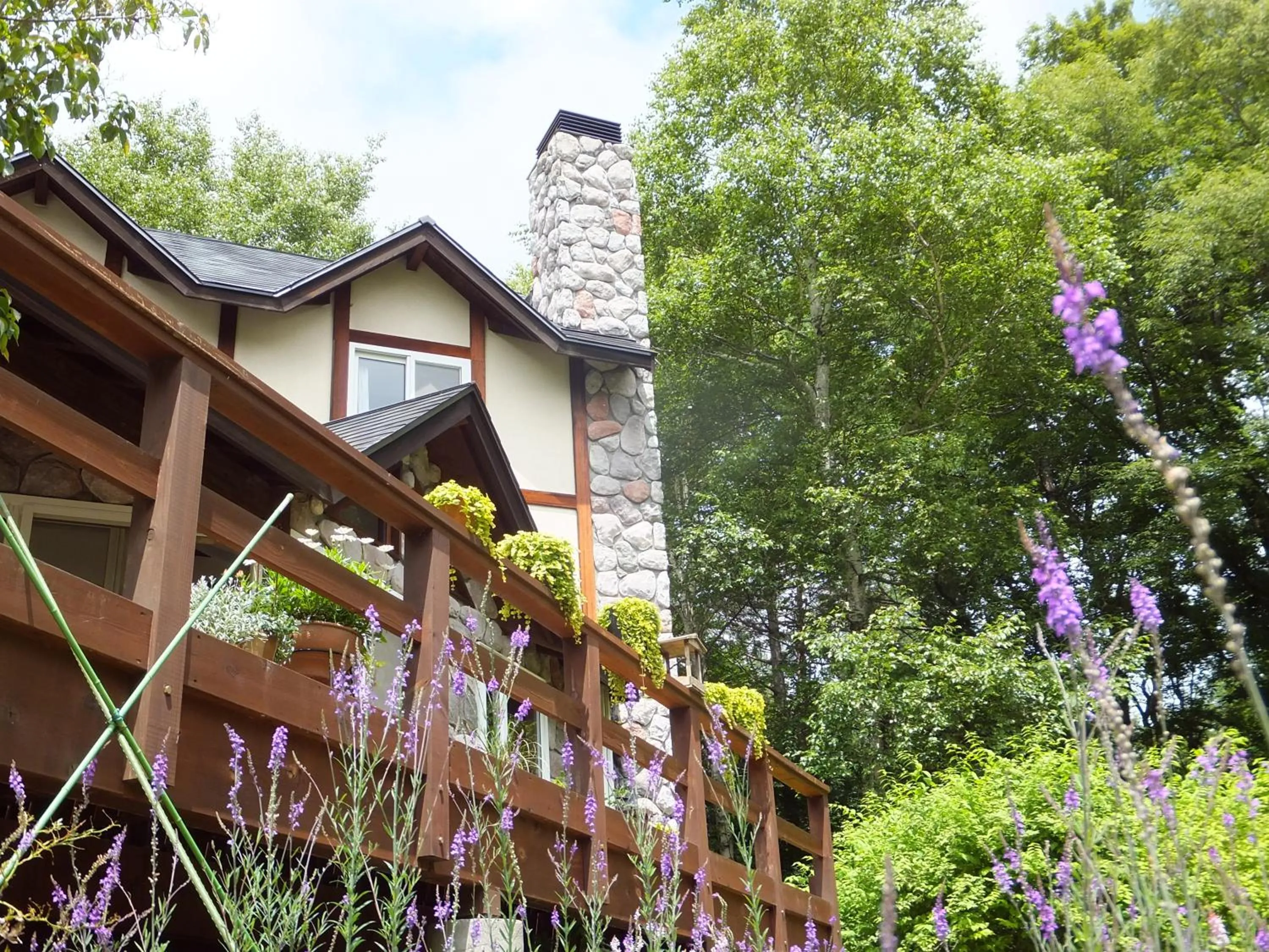 Property building in Gasthof Ascot