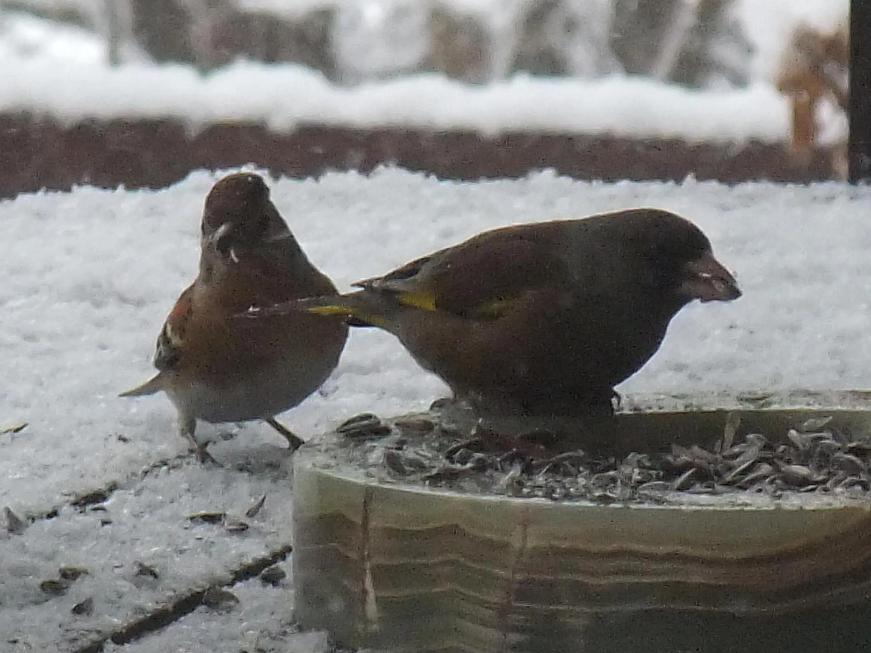 Other in Gasthof Ascot