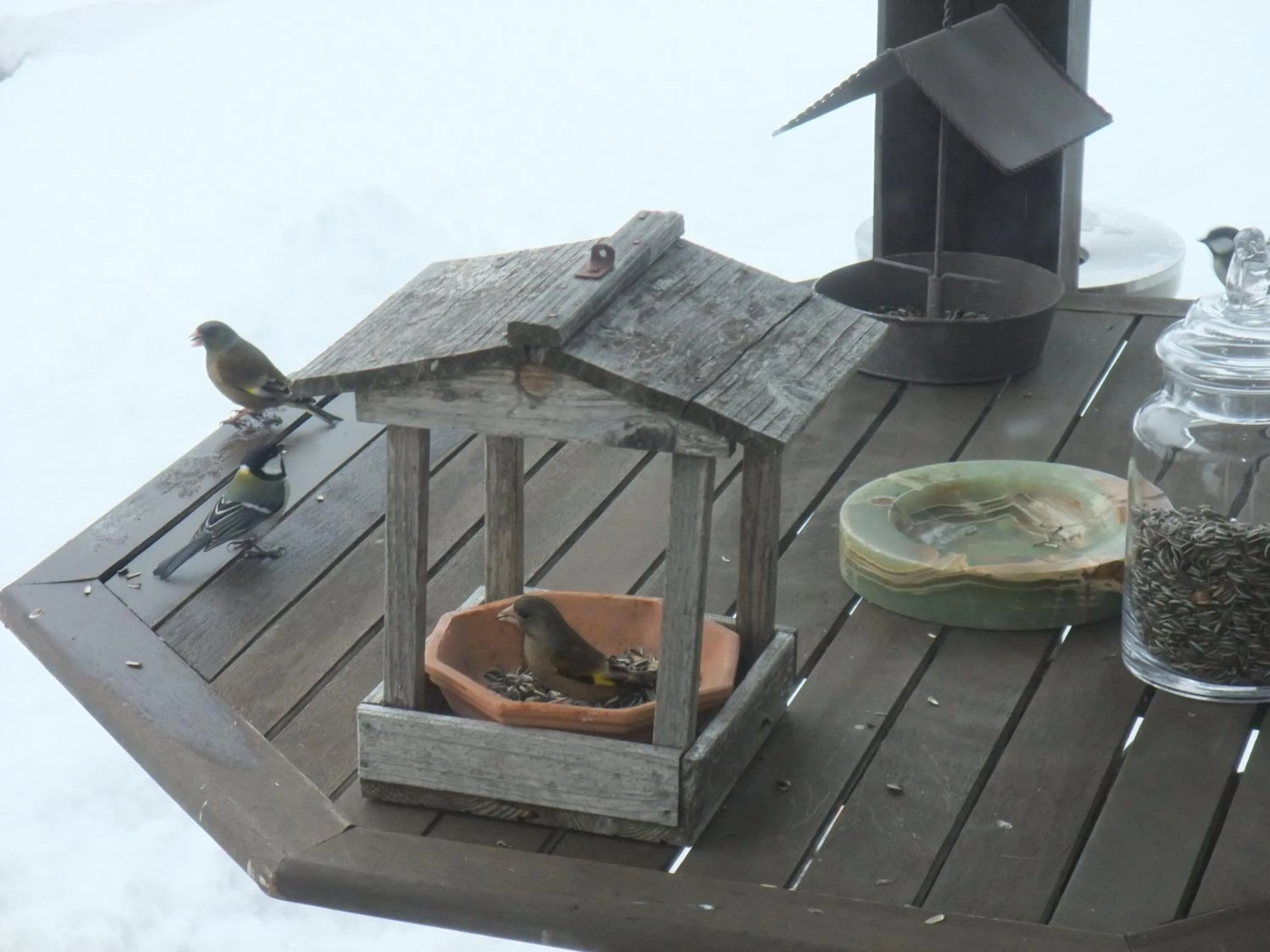 Balcony/Terrace in Gasthof Ascot