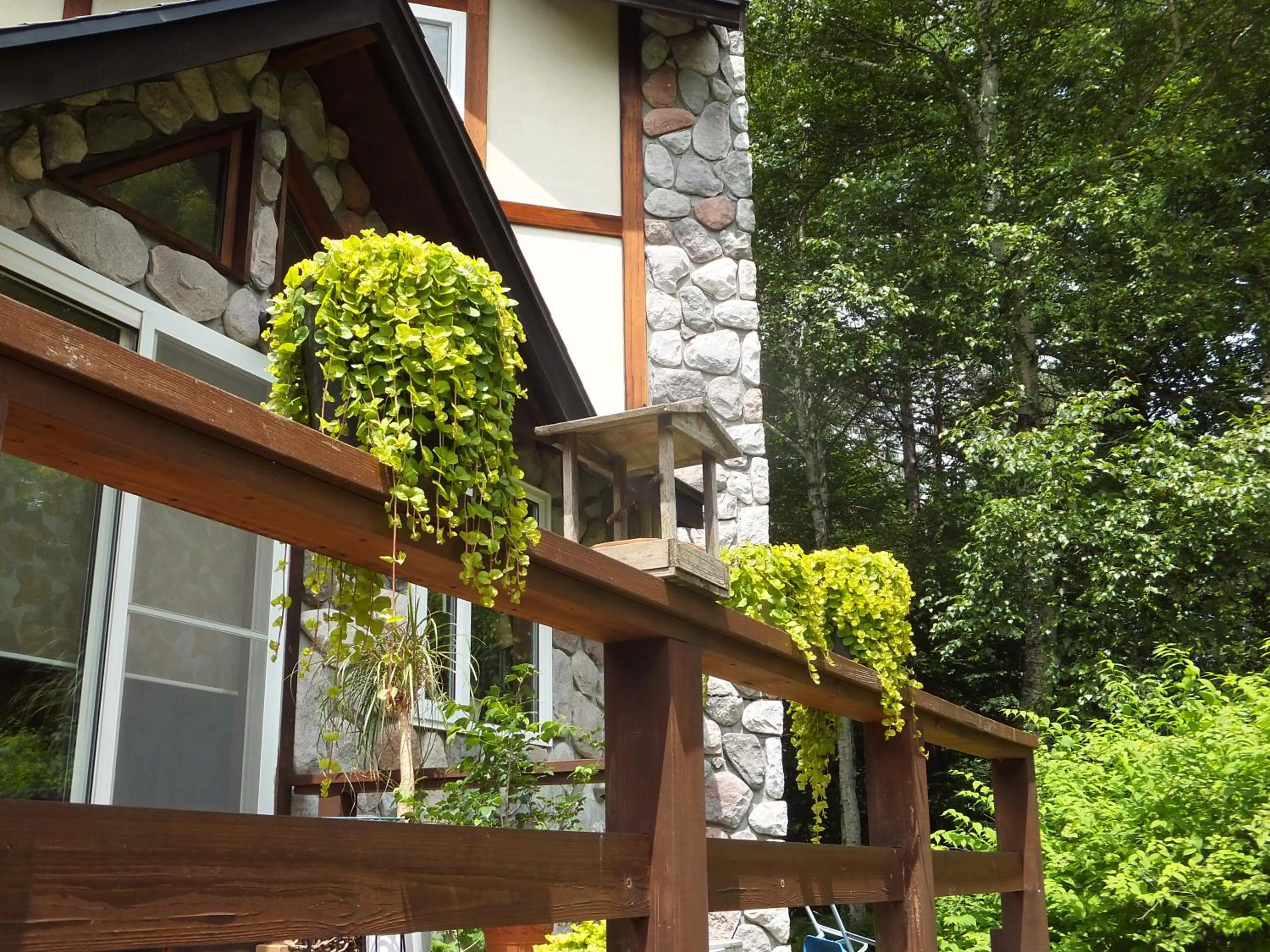 Property building in Gasthof Ascot