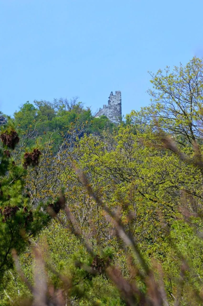 Natural landscape in Hotel Weinhaus Hoff