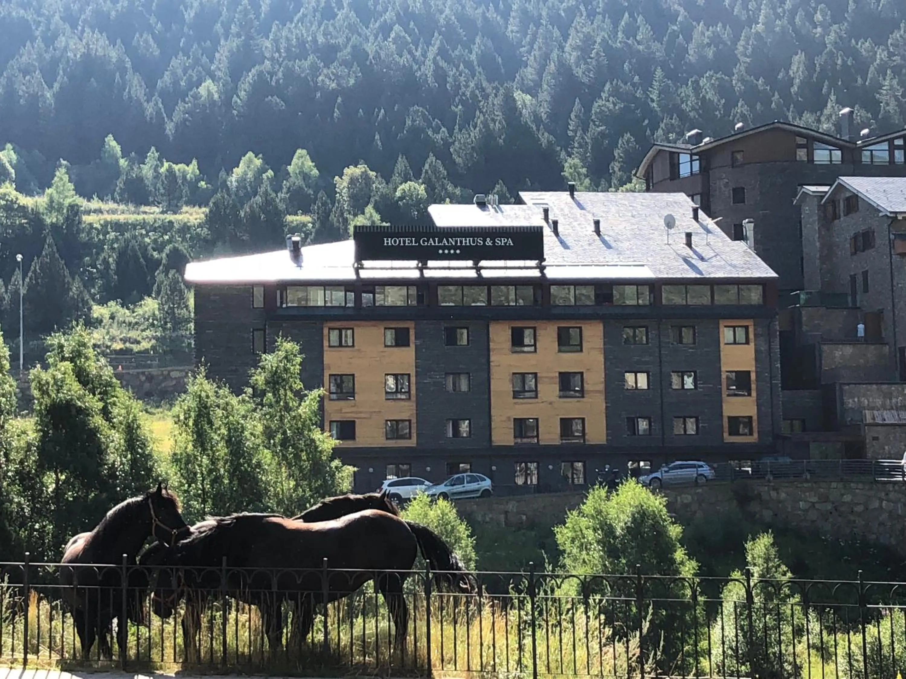 Property building in Wuau! Hotel Galanthus & Spa