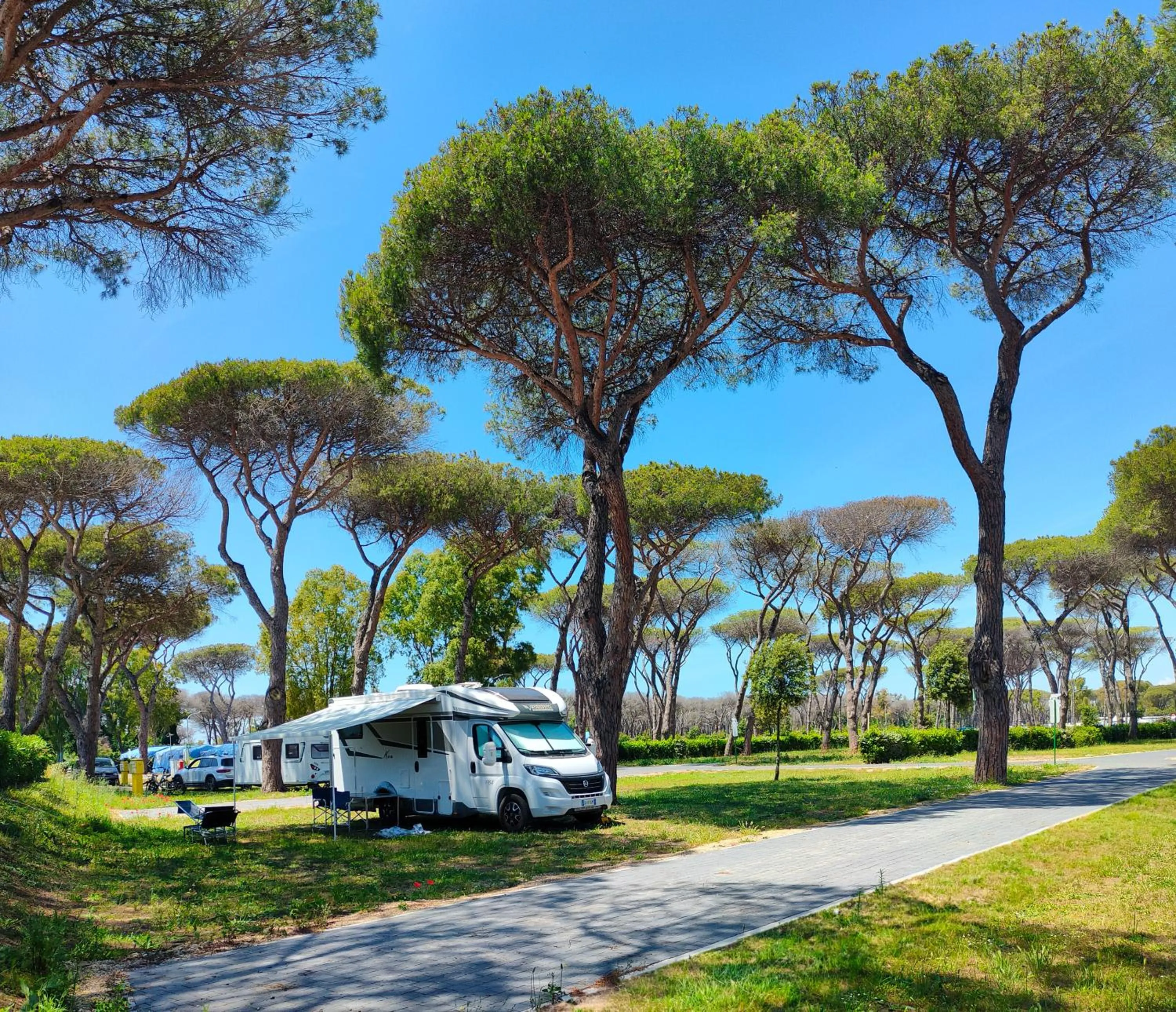 Natural landscape in Camping Village Roma Capitol