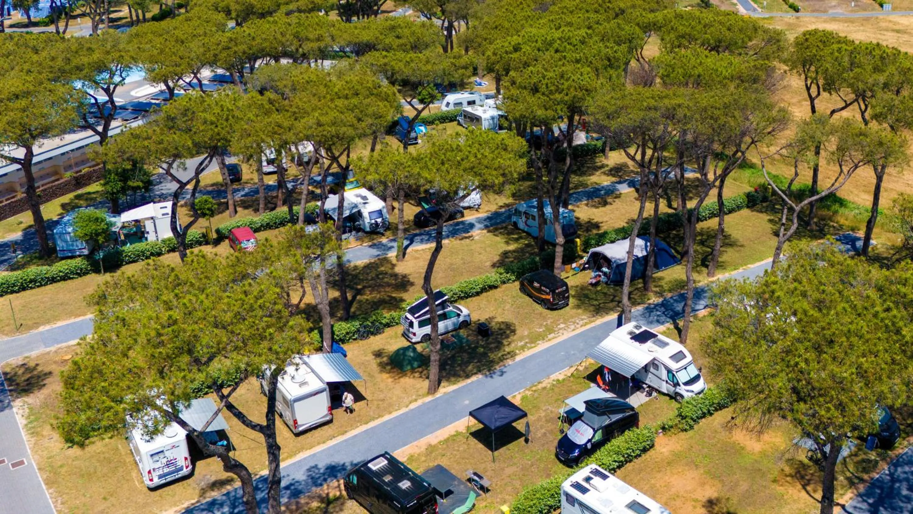 Natural landscape in Camping Village Roma Capitol