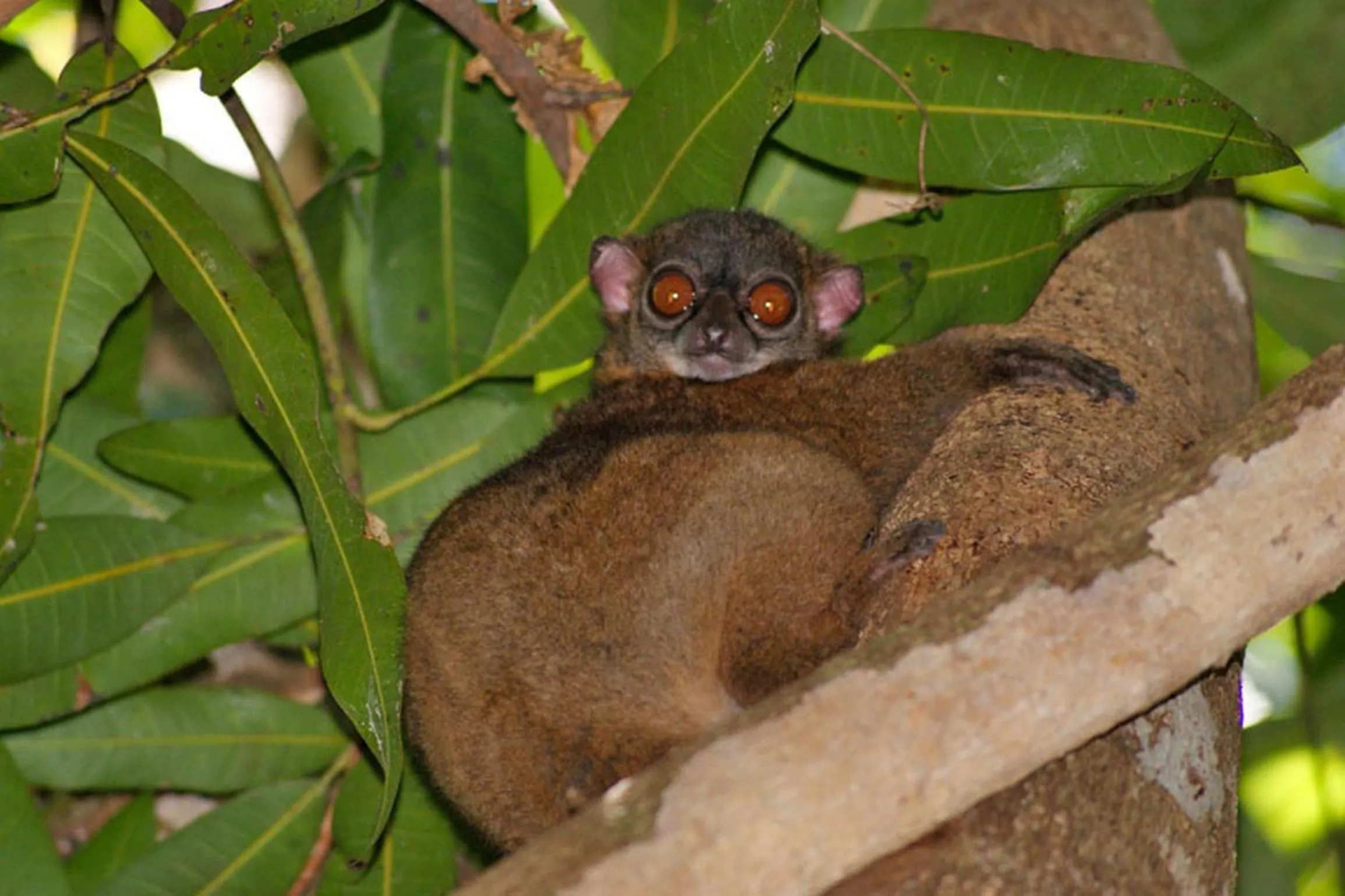 Hiking in Clair de Lune