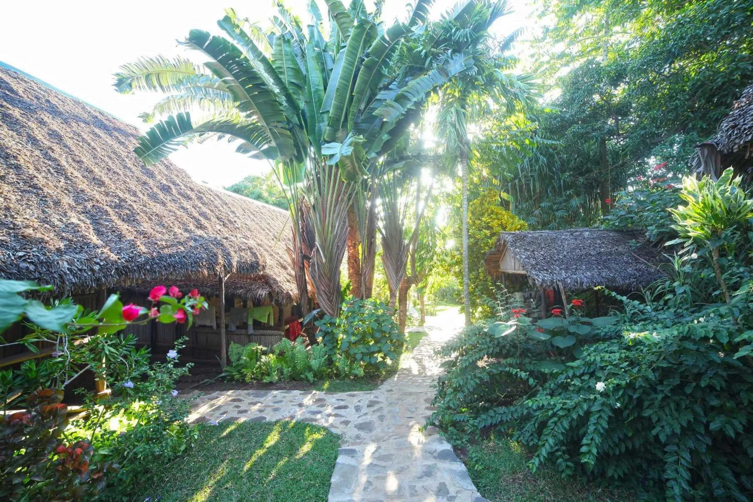 Property building in Clair de Lune