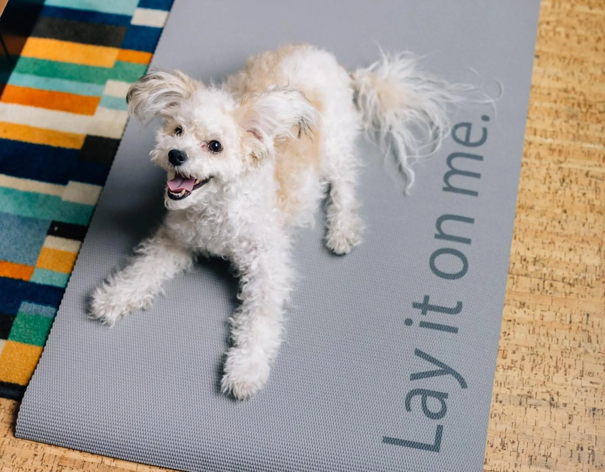 Lobby or reception in EVEN Hotel New York - Midtown East by IHG