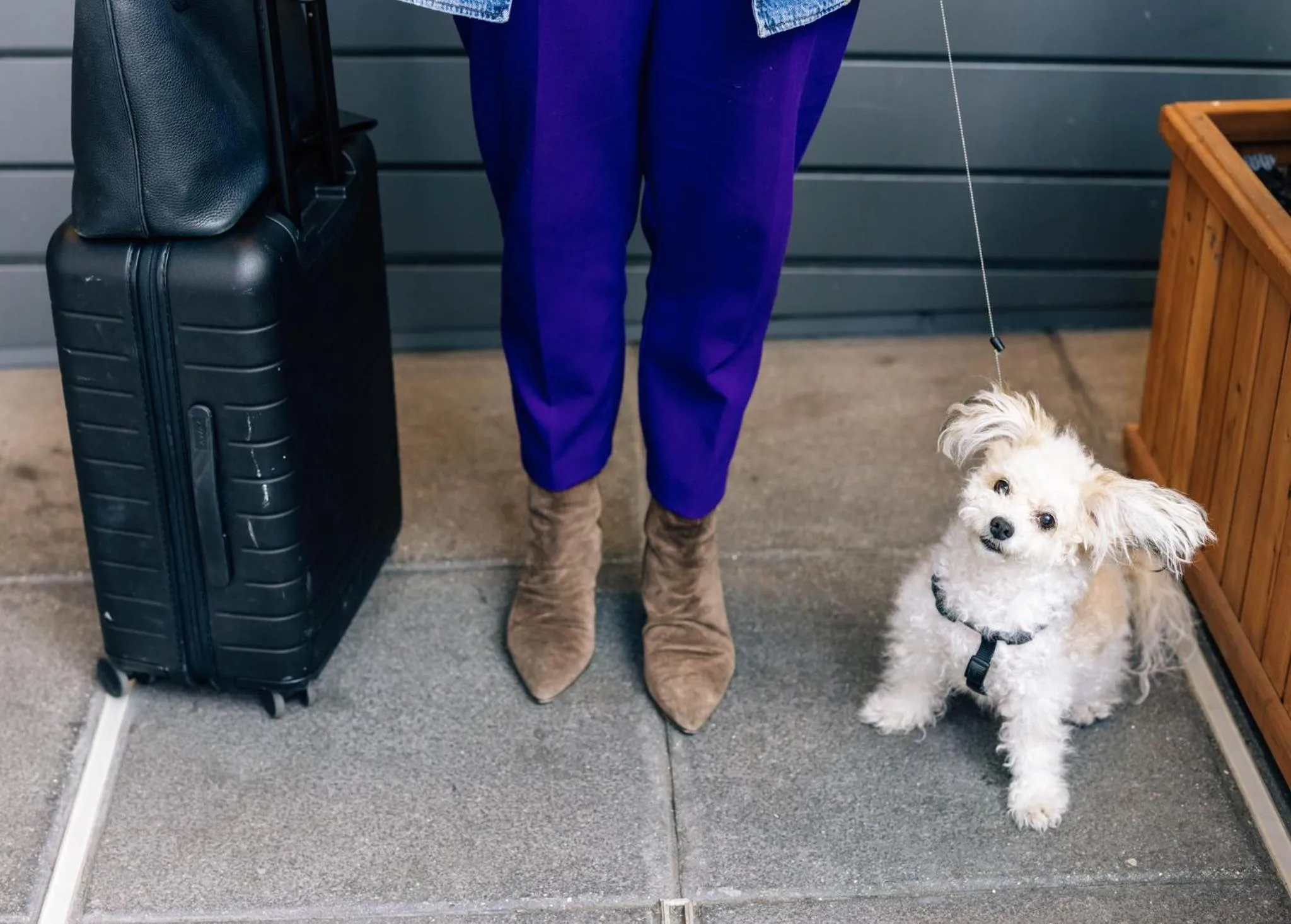 Lobby or reception in EVEN Hotel New York - Midtown East by IHG
