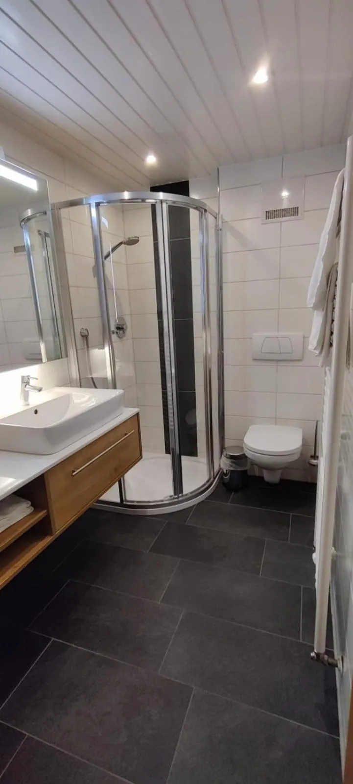 Toilet in Gästehaus Haag