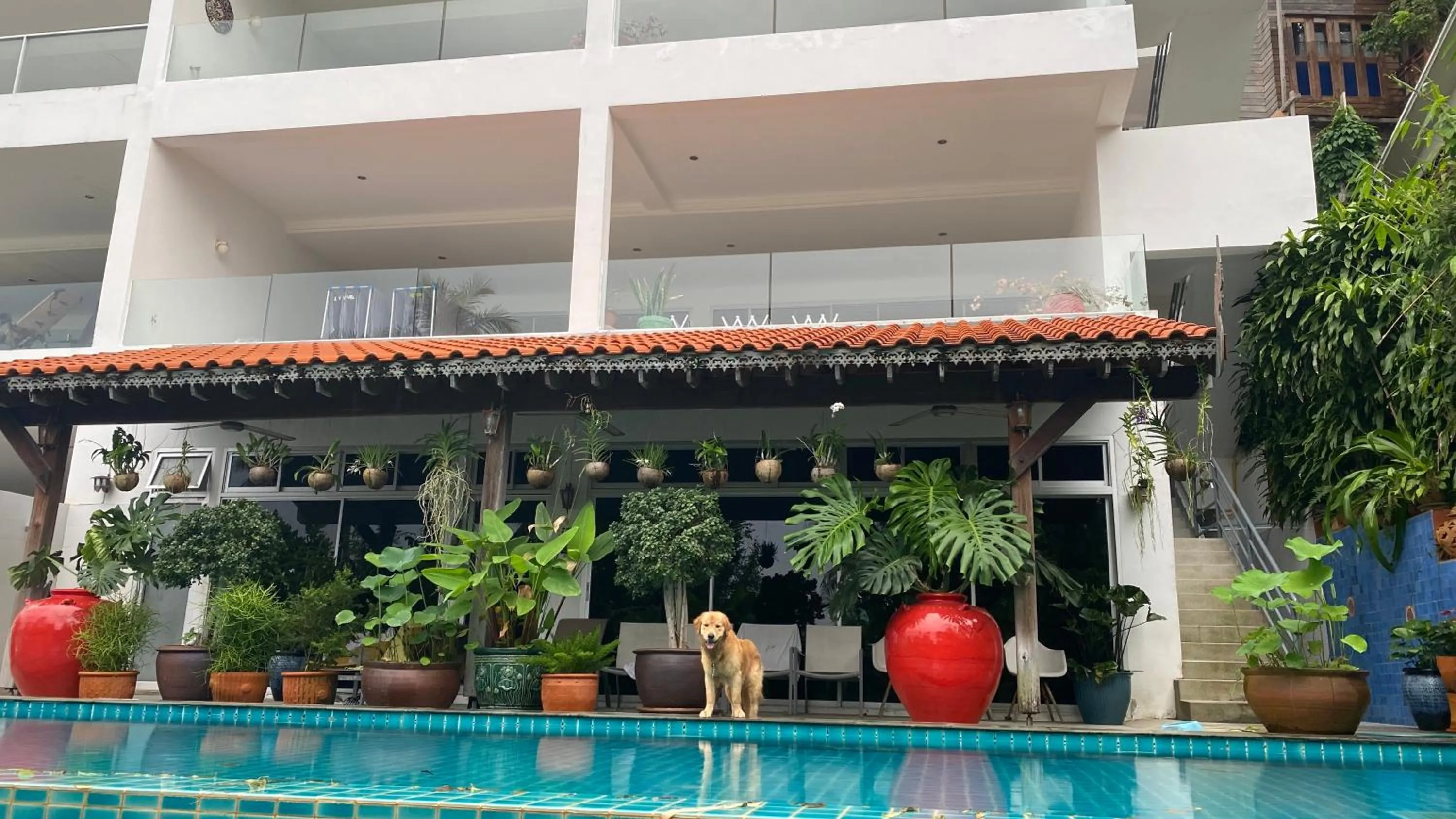 Kata Top Villas