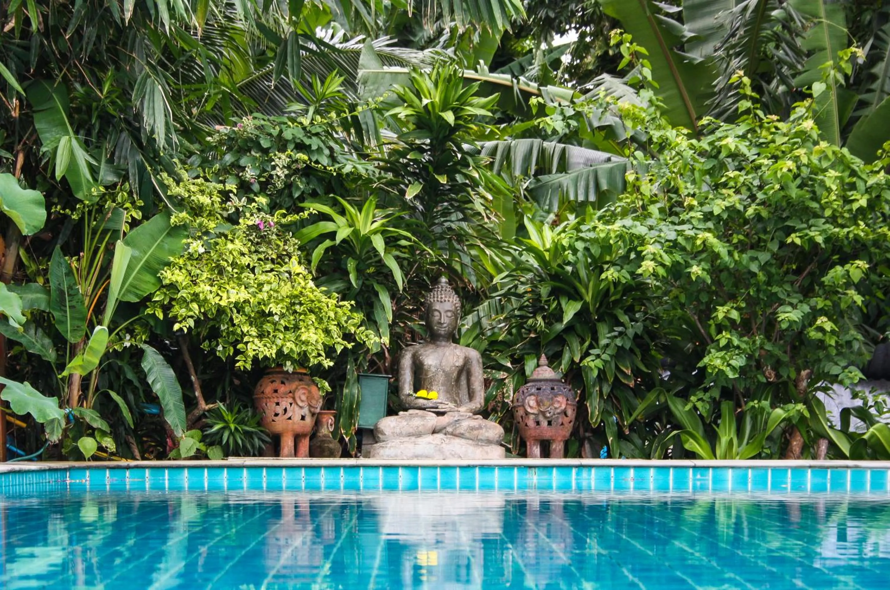 Swimming pool in Kata Top Villas