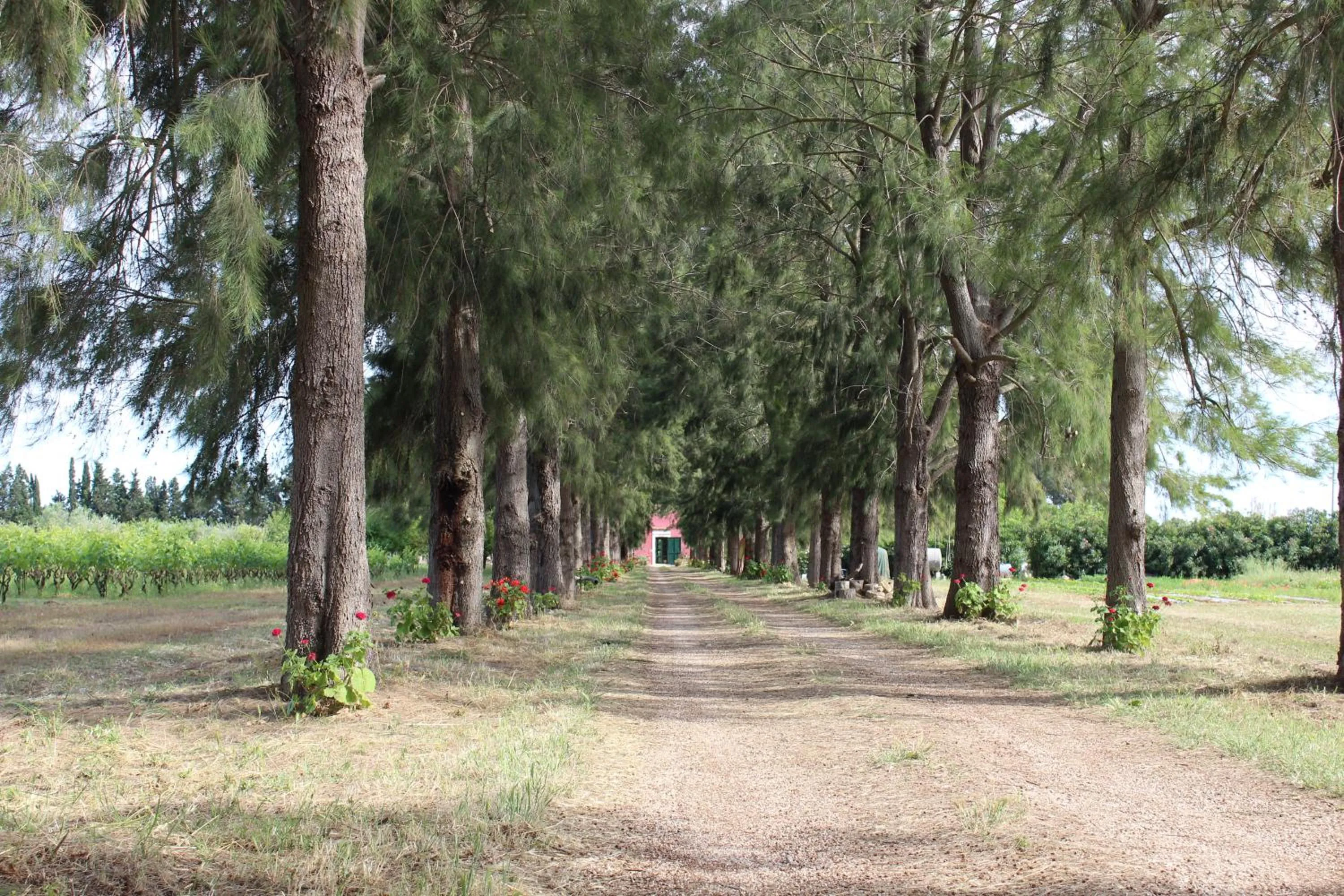 Tenuta Santa Rosa